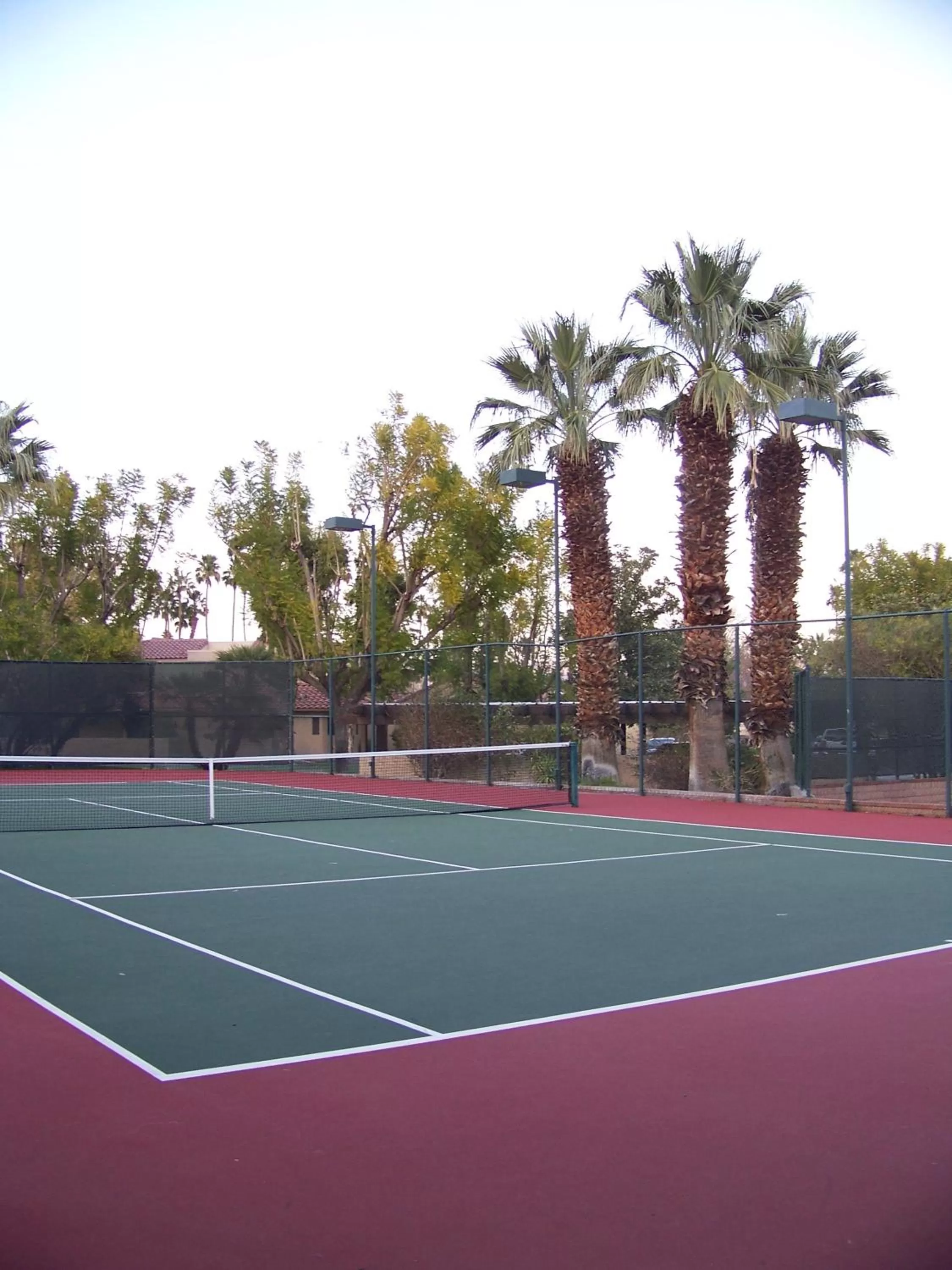 Tennis court in The Oasis Resort