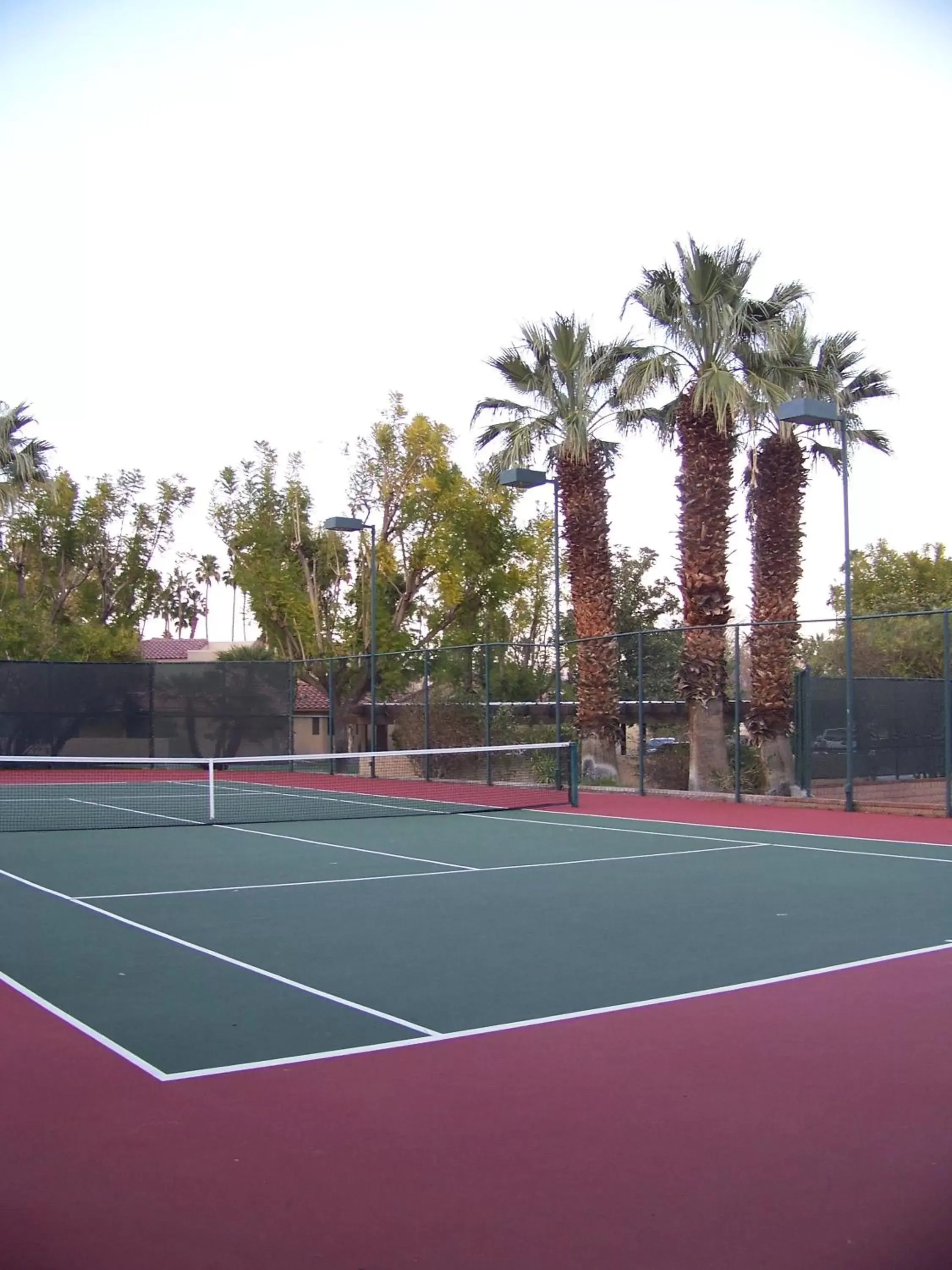 Tennis court, Tennis/Squash in The Oasis Resort