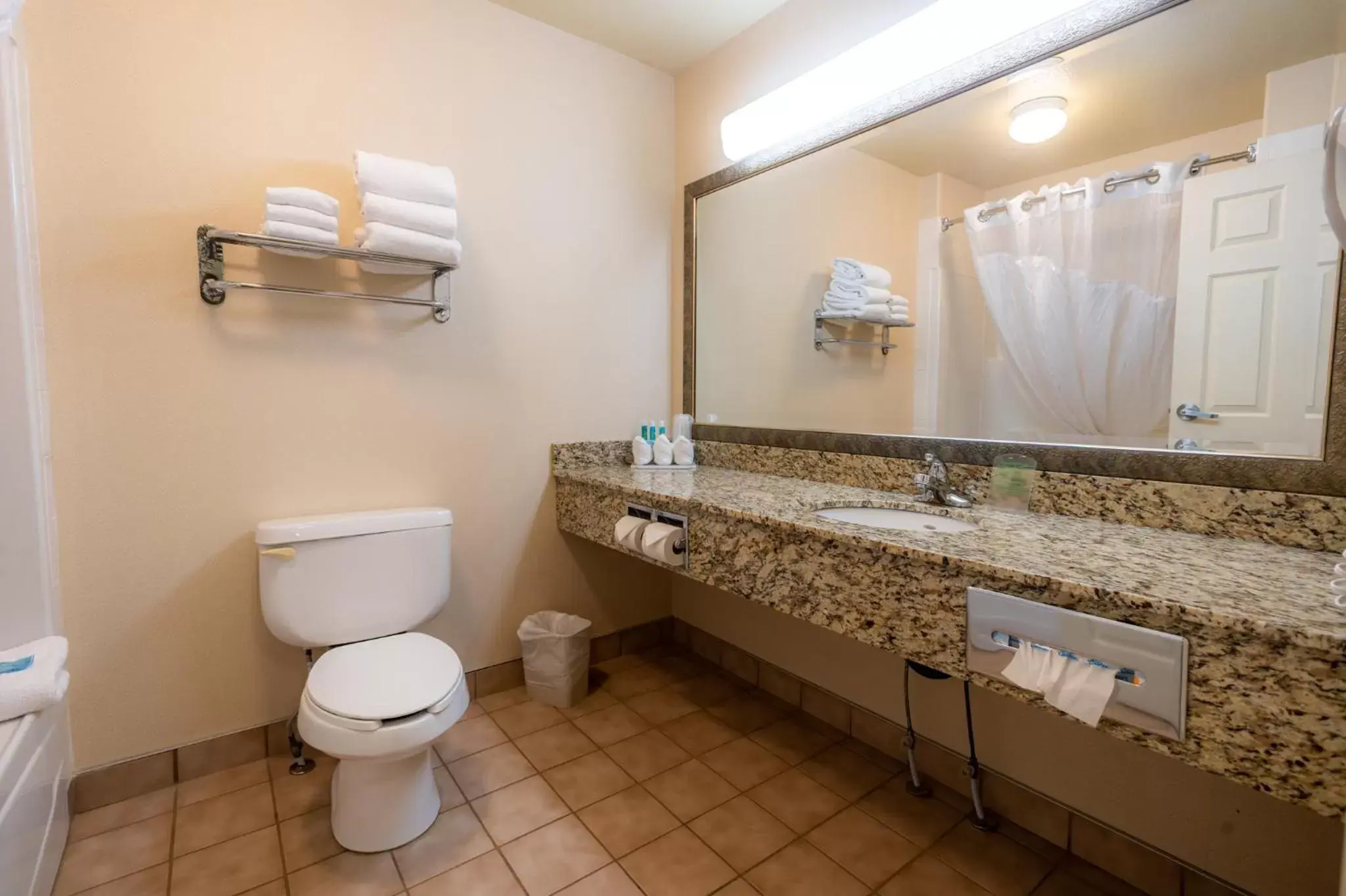 Bathroom in Holiday Inn Express Hotel & Suites - Edmonton International Airport, an IHG Hotel