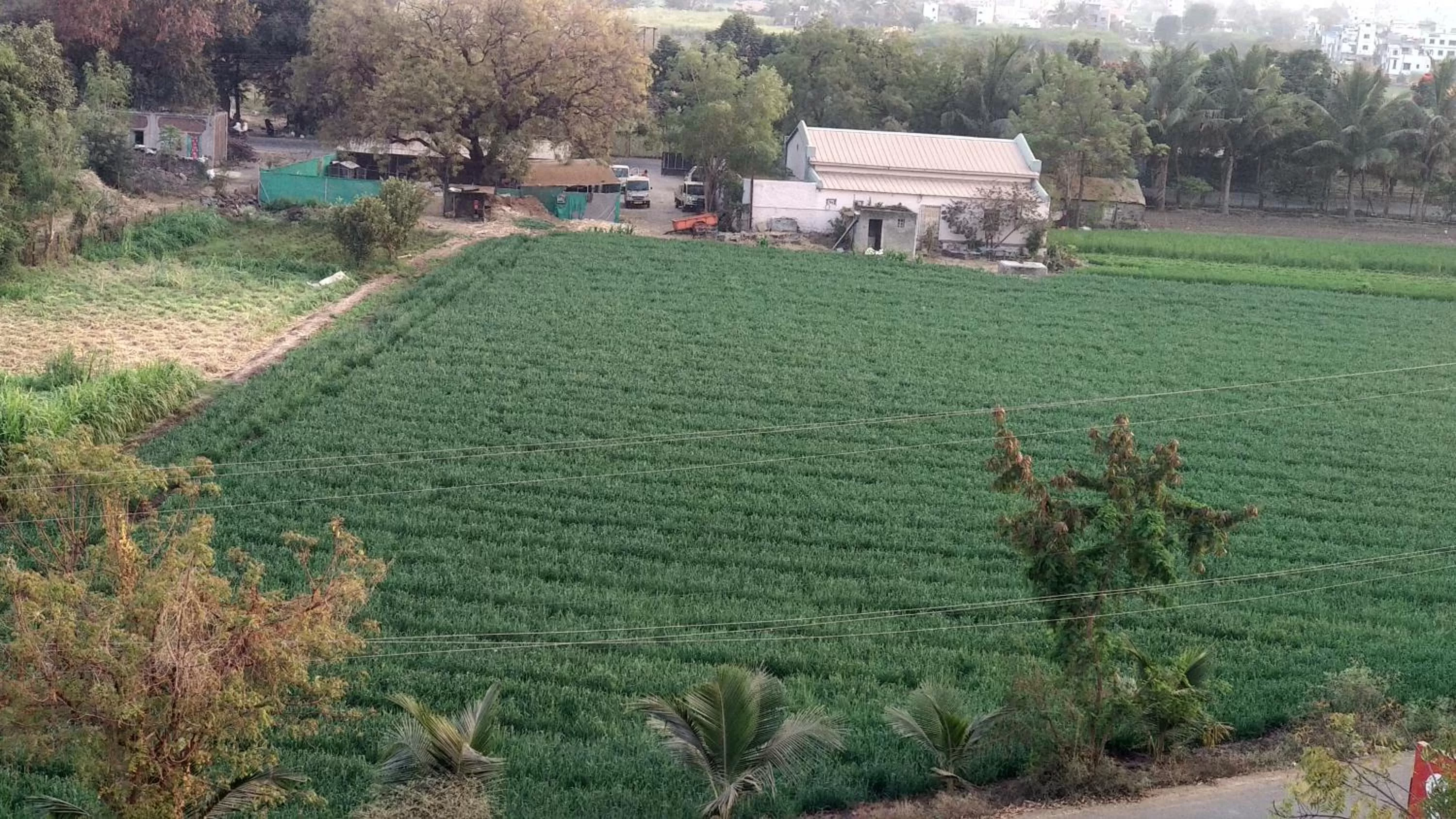 Other in SAI SRUSHTI by NEEM SQUARE