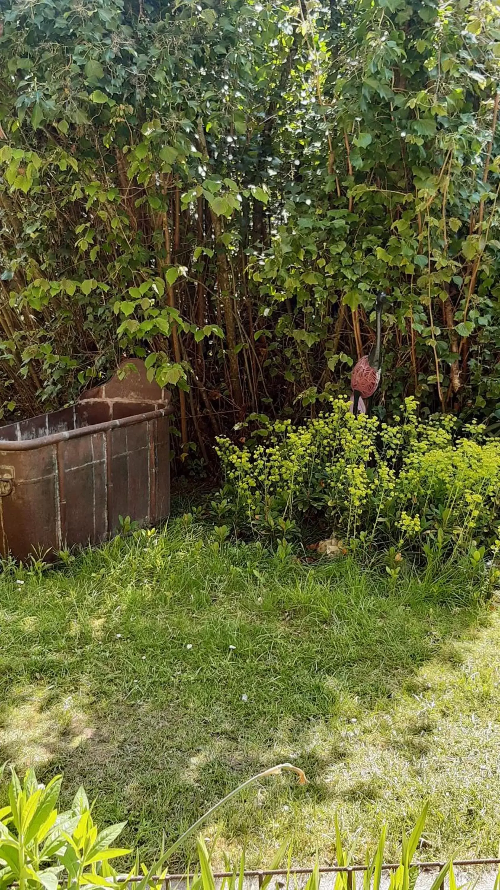 Garden in Le buisson de la Gariole