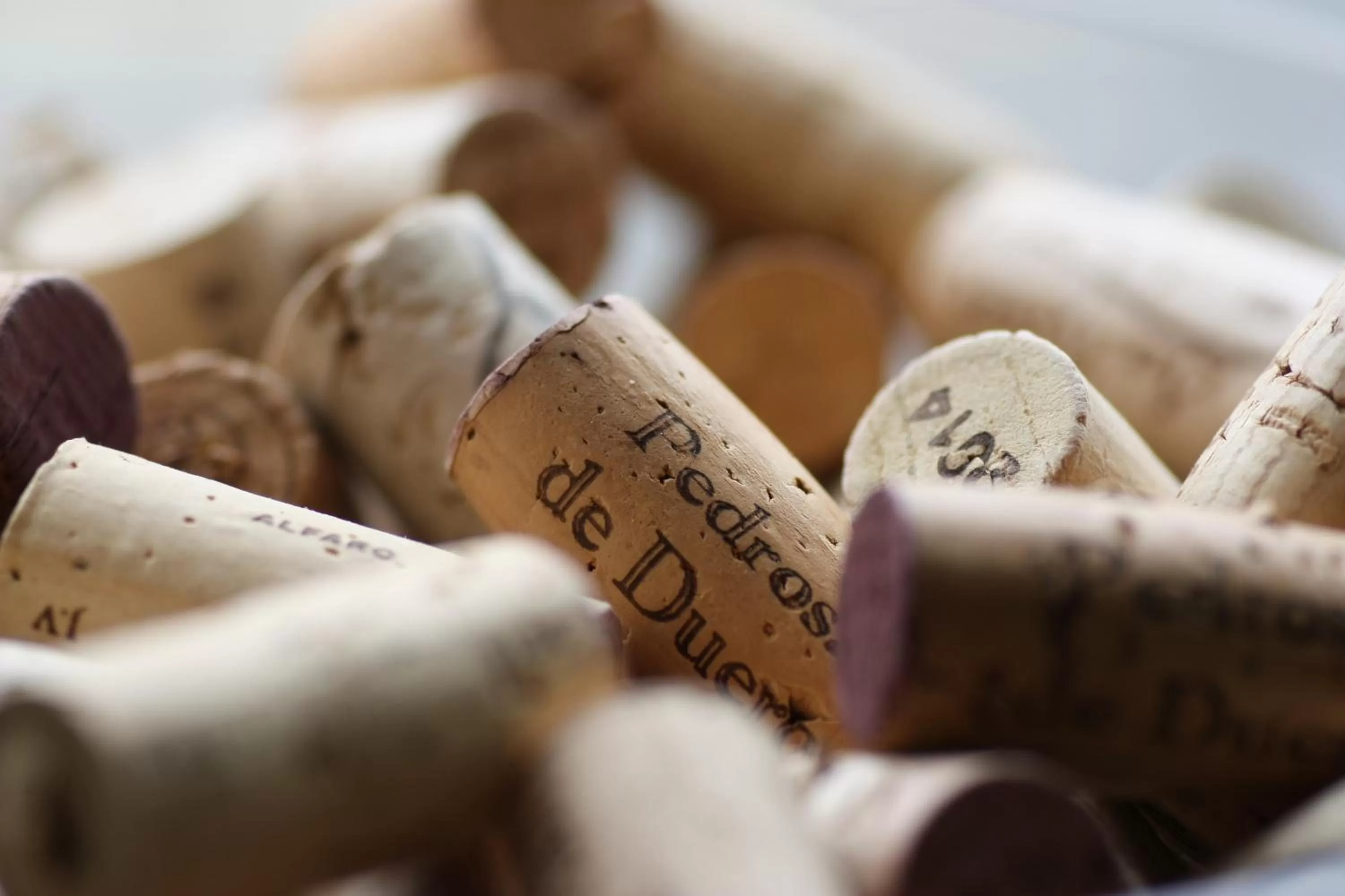 Food and drinks in Hotel Pontes do Eume