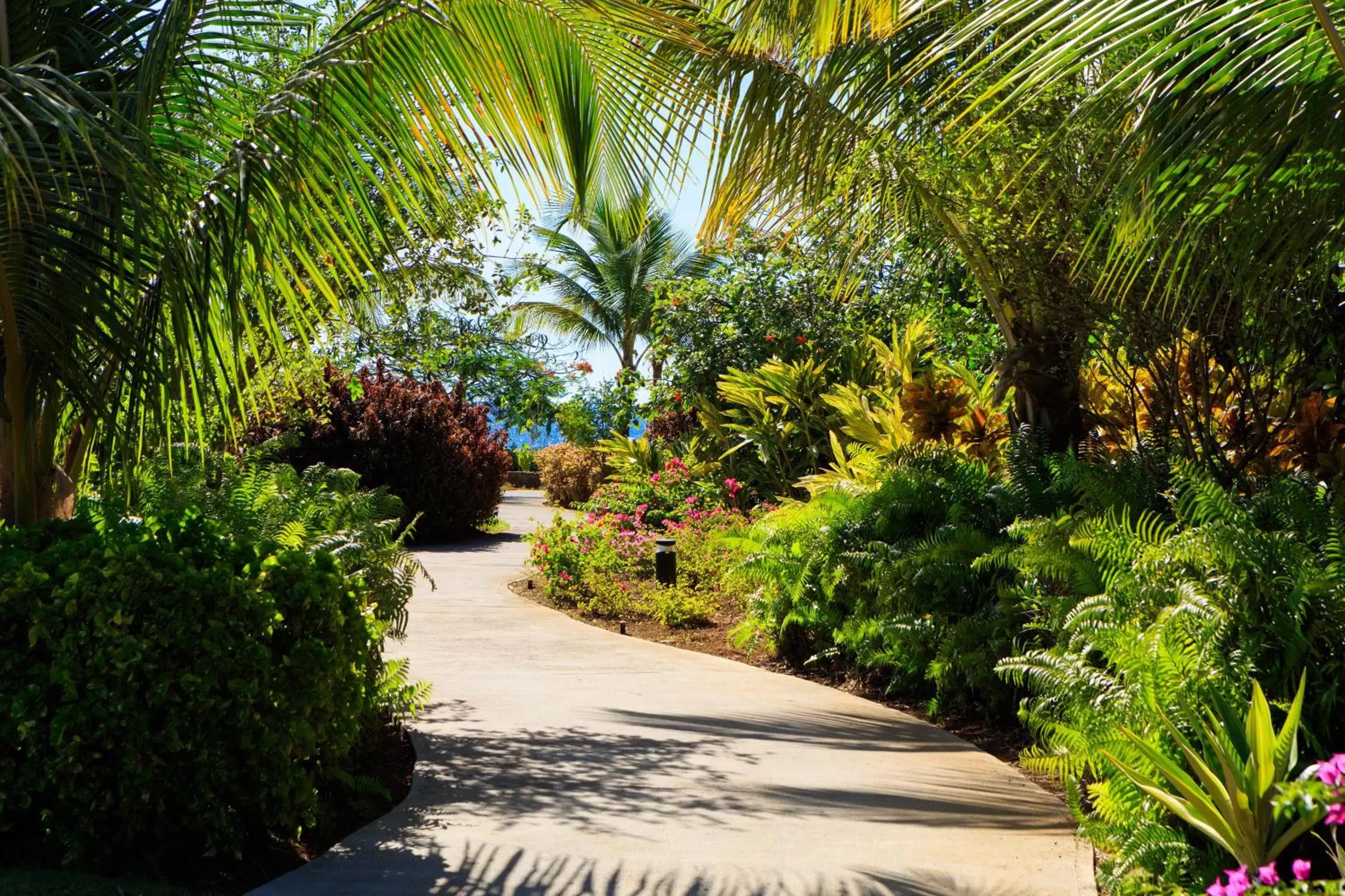 Other in InterContinental Dominica Cabrits Resort & Spa, an IHG Hotel