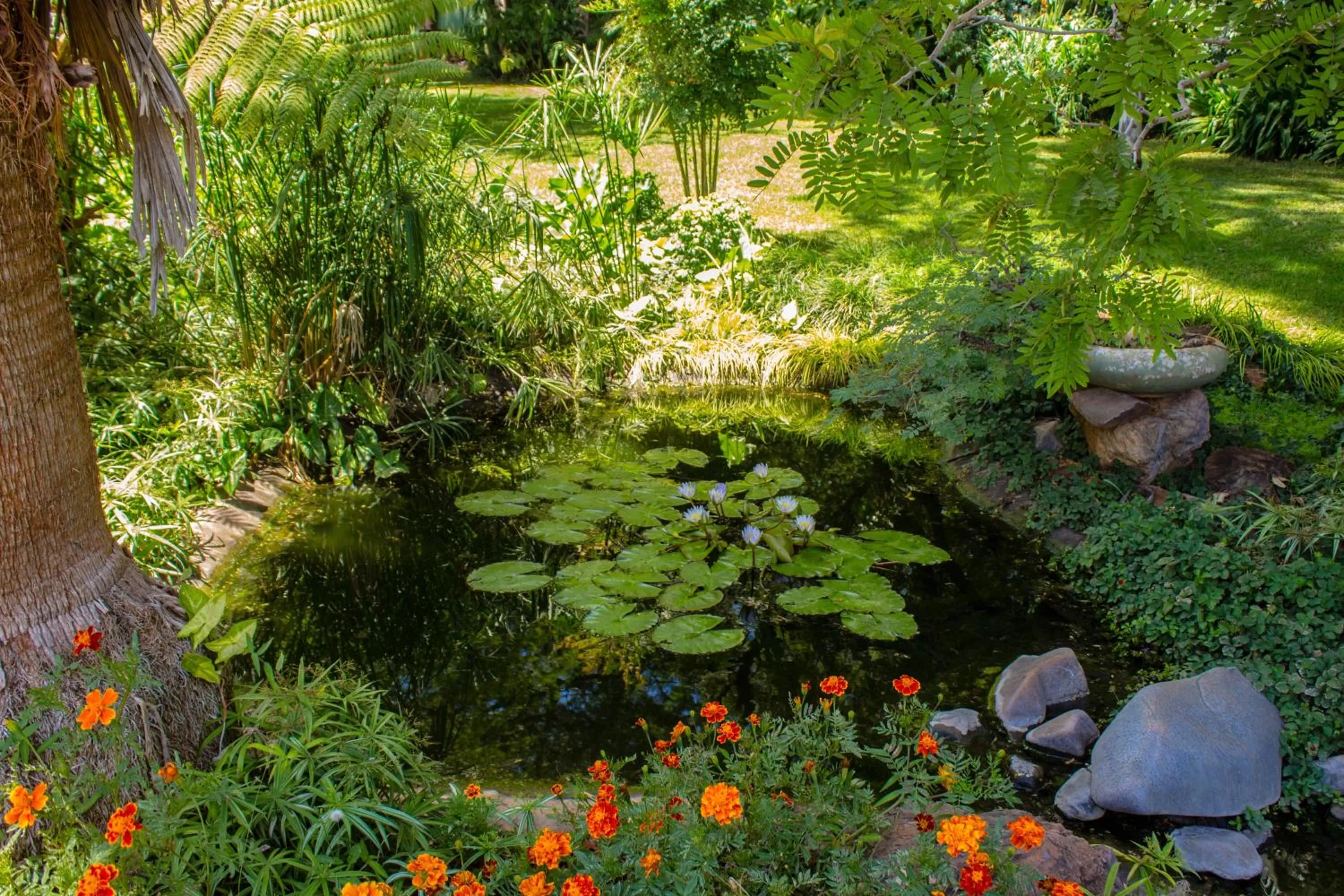 Garden view in 12 FLEETWOOD