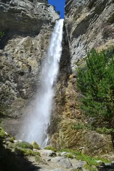 Natural Landscape in hotel de la gare