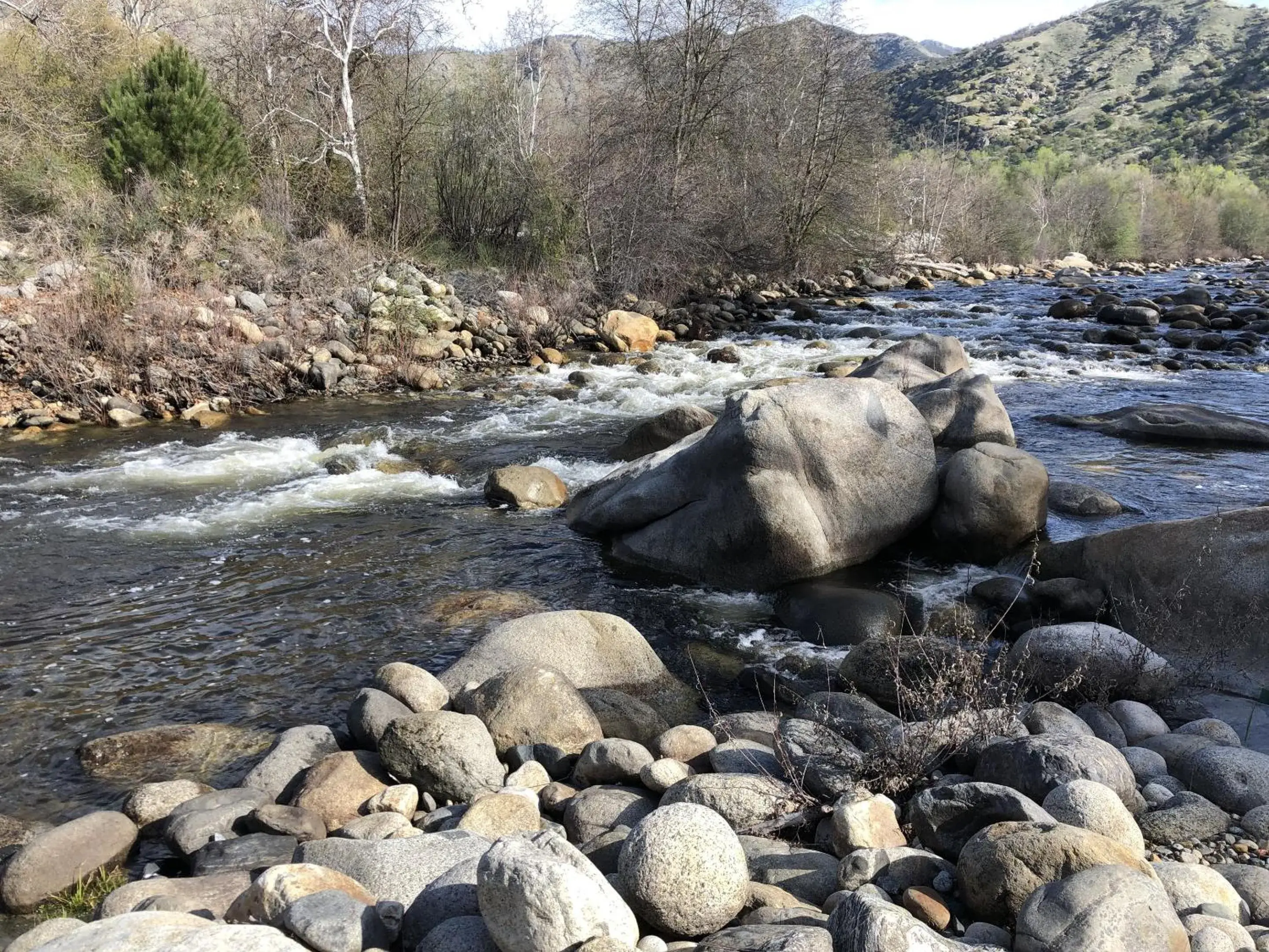 Natural landscape in Sierra Lodge Three Rivers