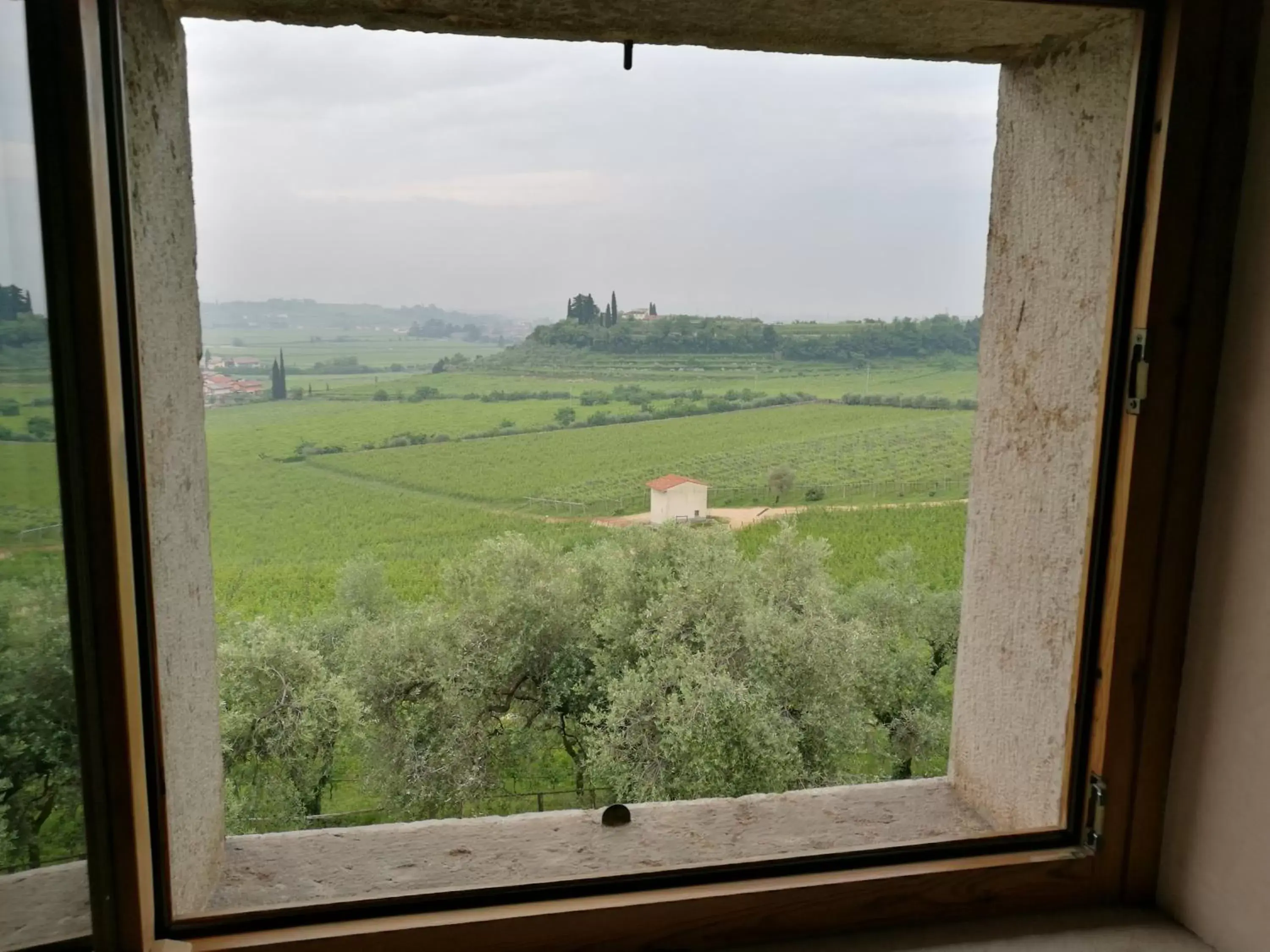 Garden view in Costa degli Ulivi