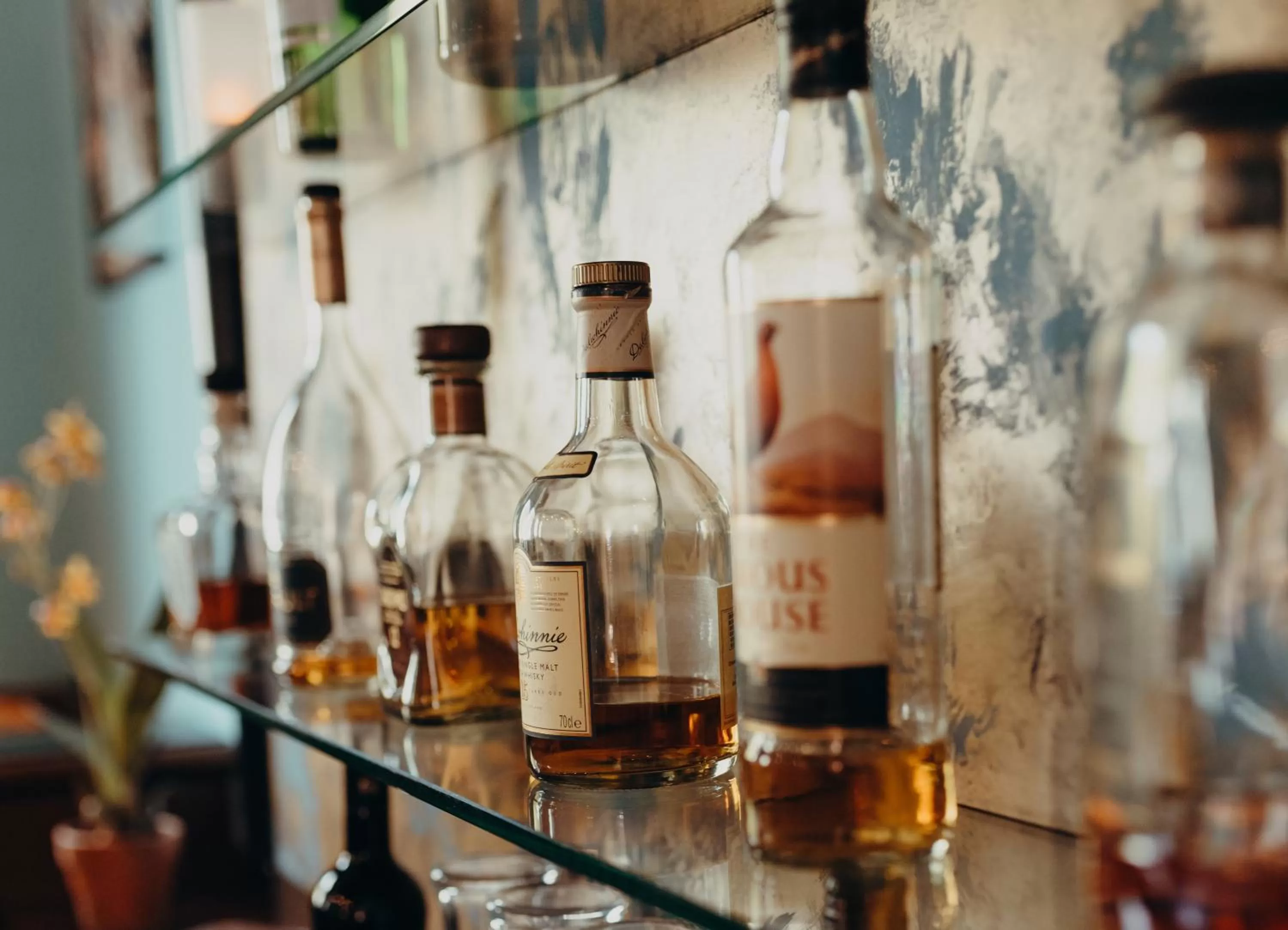 Restaurant/places to eat in Hotel Jungclaus