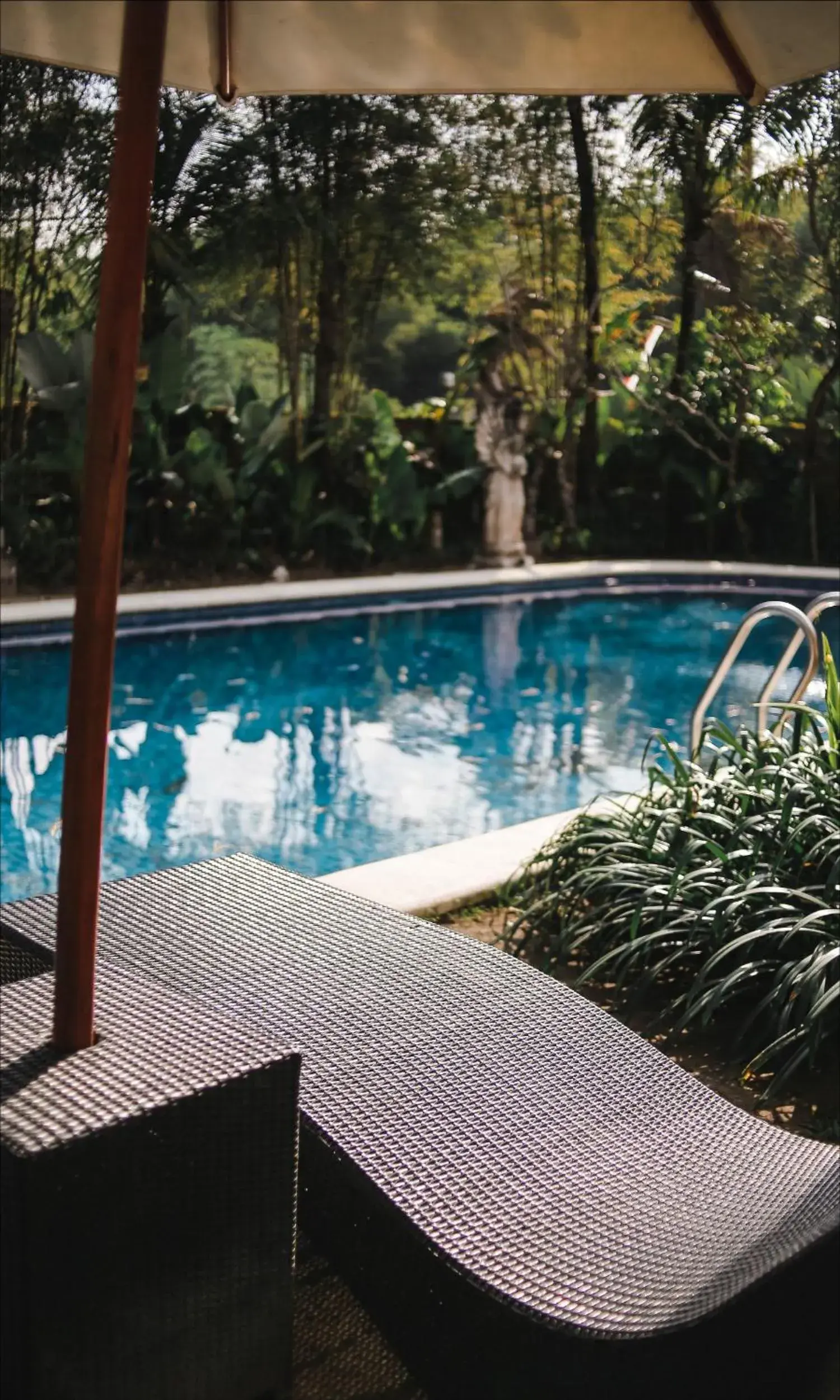 Swimming Pool in Ubud Hotel and Cottages