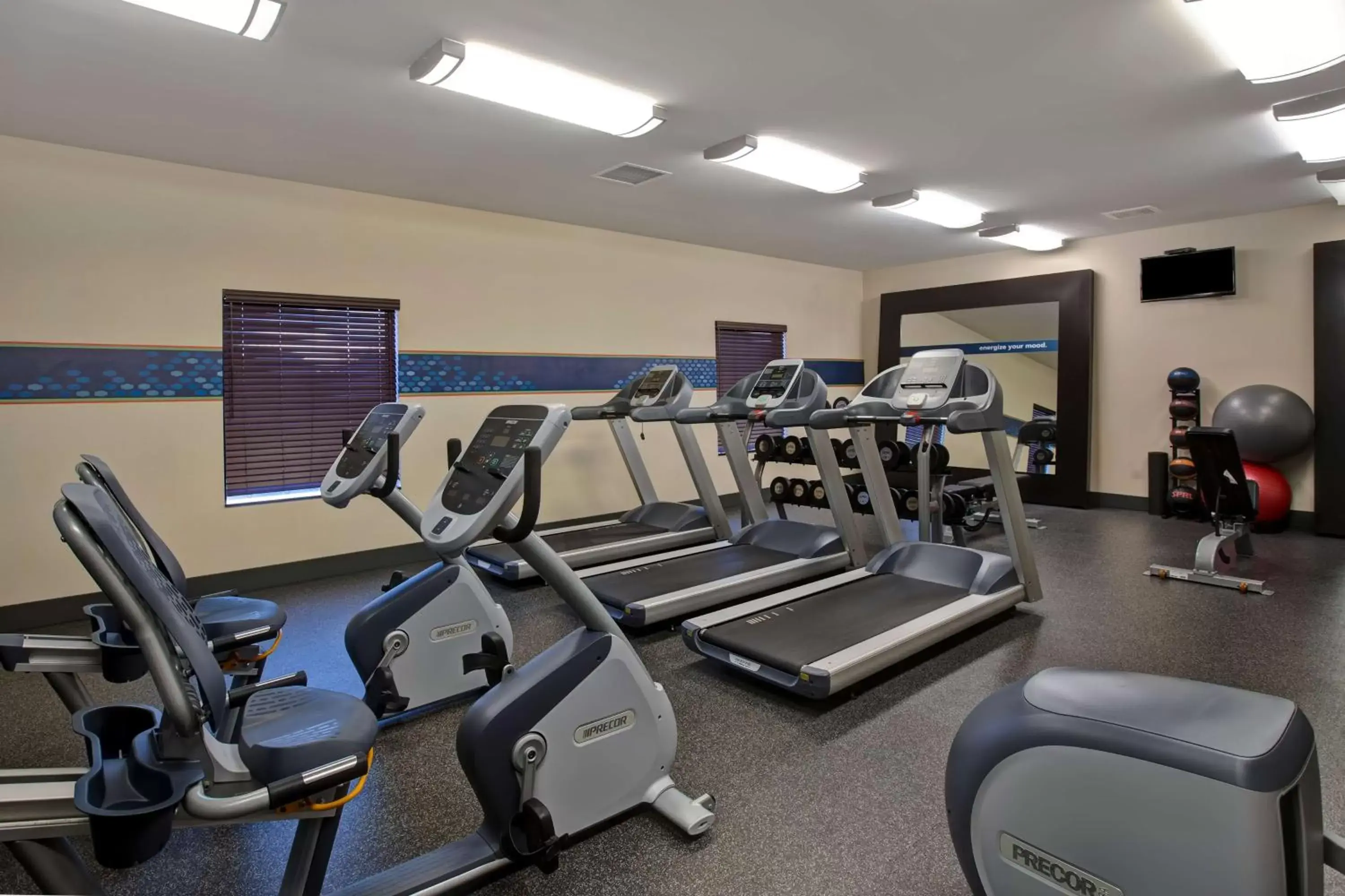 Fitness centre/facilities, Fitness Center/Facilities in Hampton Inn Dekalb - Near the University