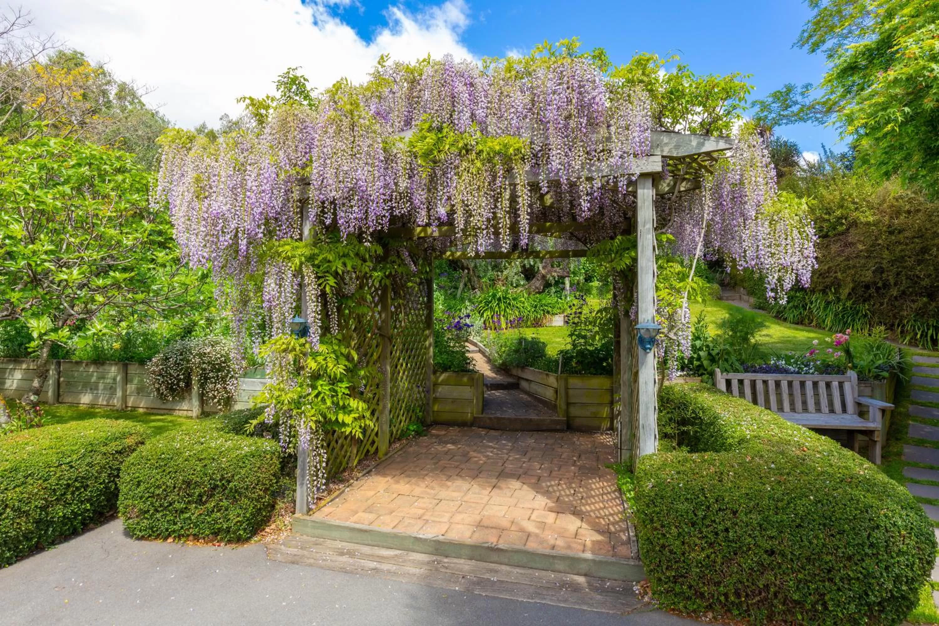 Olde Mill House B&B & Bike2Wine cycle hire