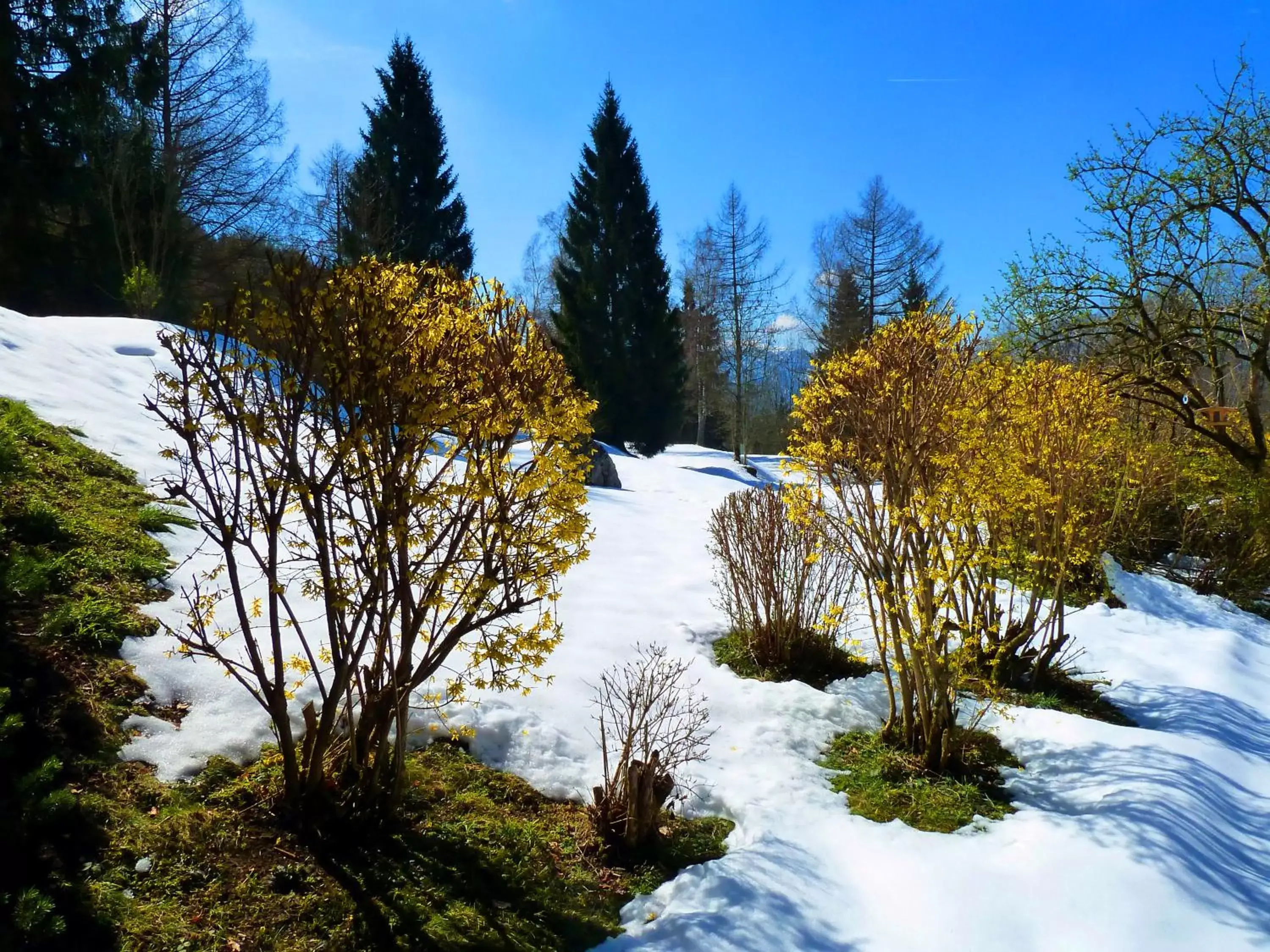 Area and facilities, Winter in Romantikhotel Die Gersberg Alm