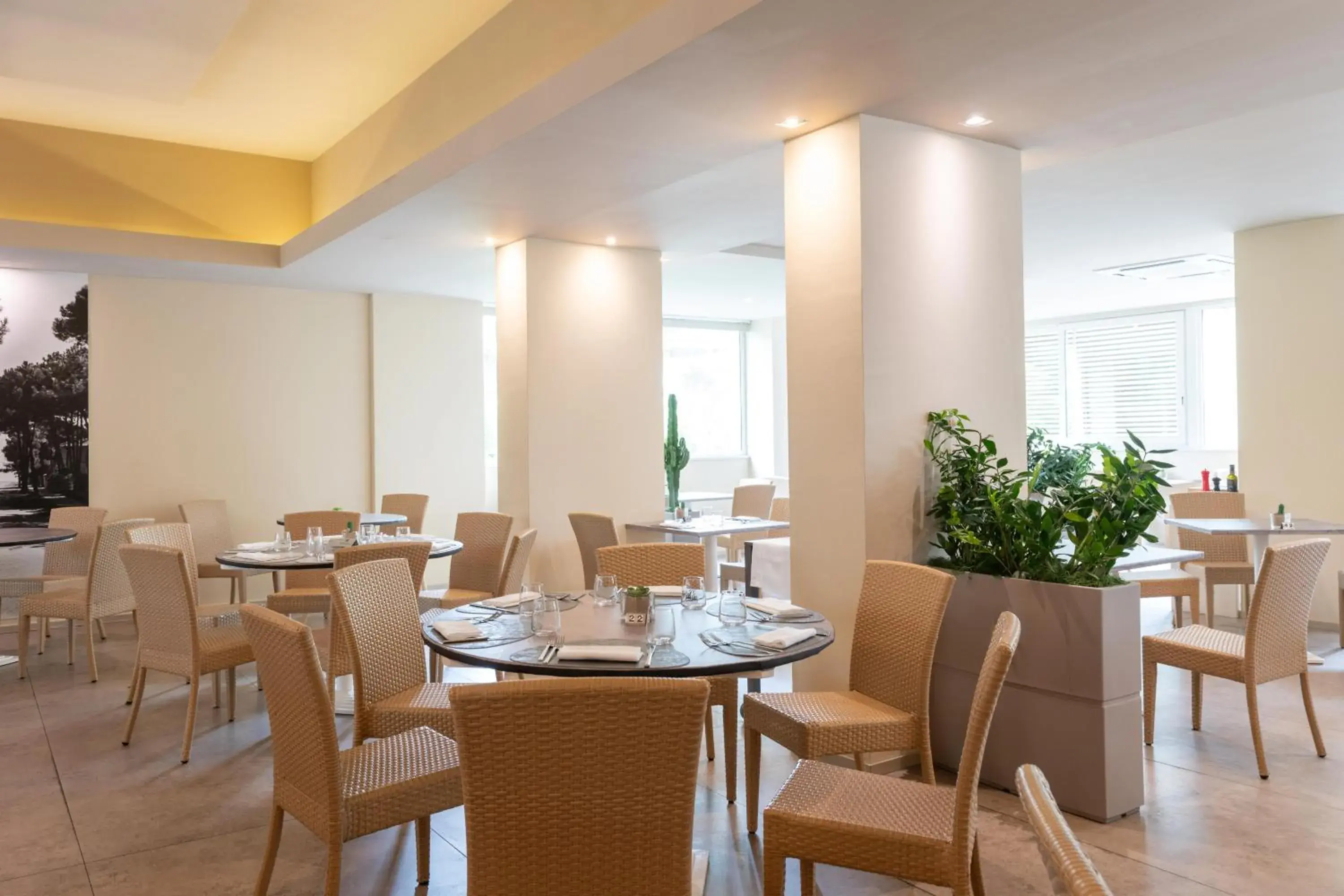 Restaurant/Places to Eat in Perla Verde Hotel