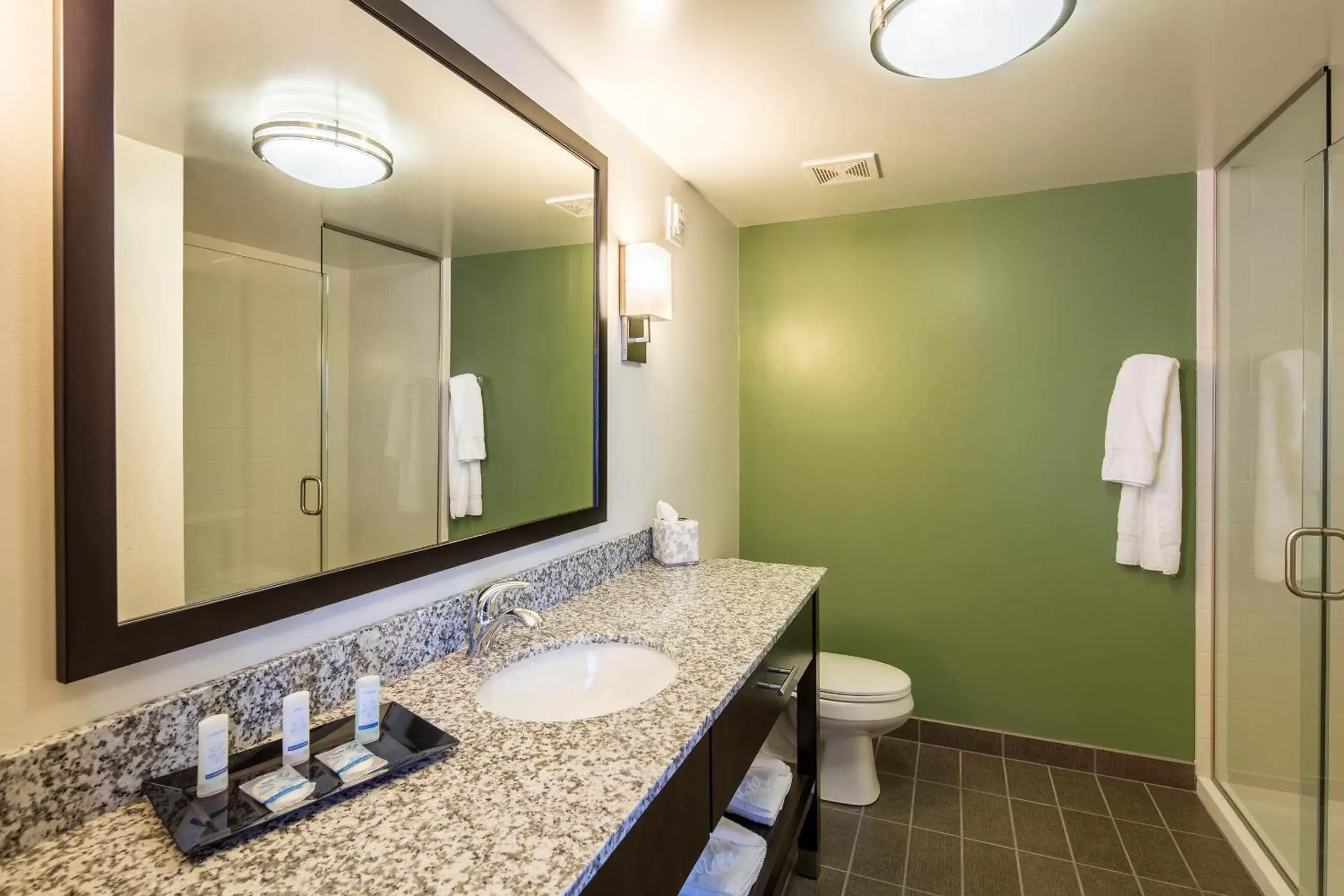 Shower, Bathroom in Sleep Inn & Suites East Syracuse