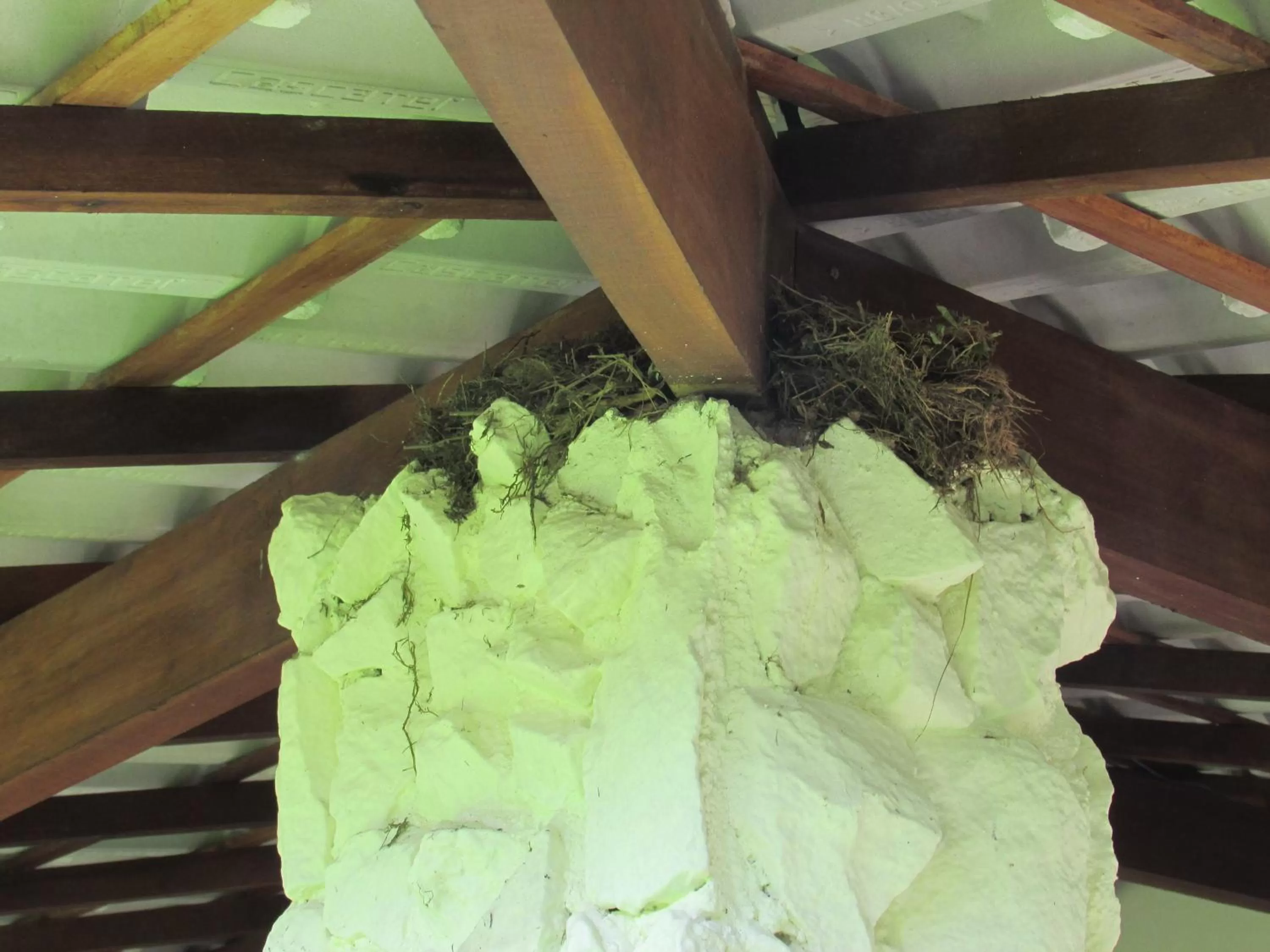 Balcony/Terrace in Pousada Ipitanga IV