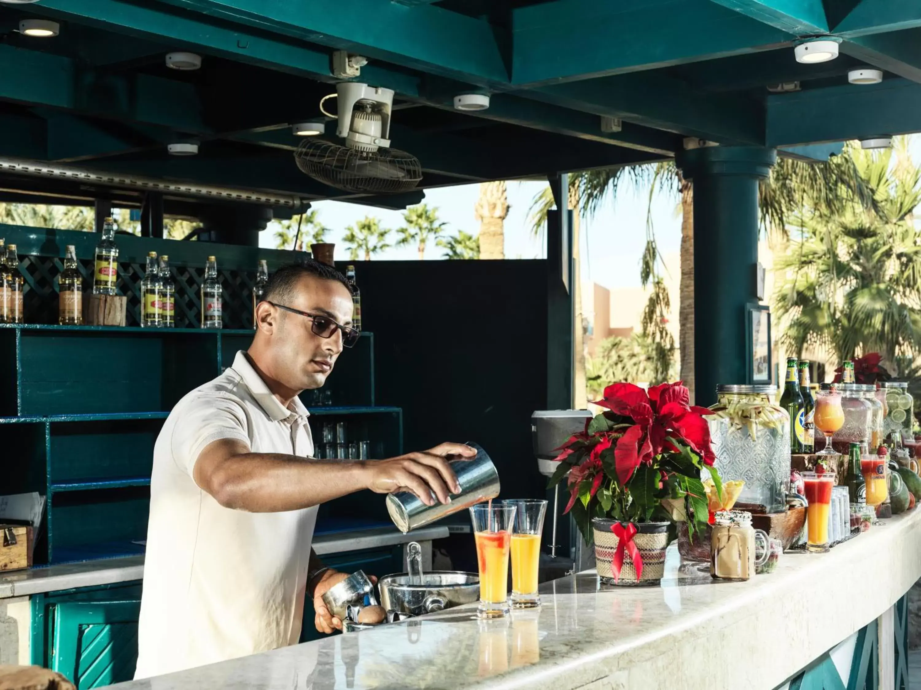 Lounge or bar in Club Paradisio El Gouna Red Sea