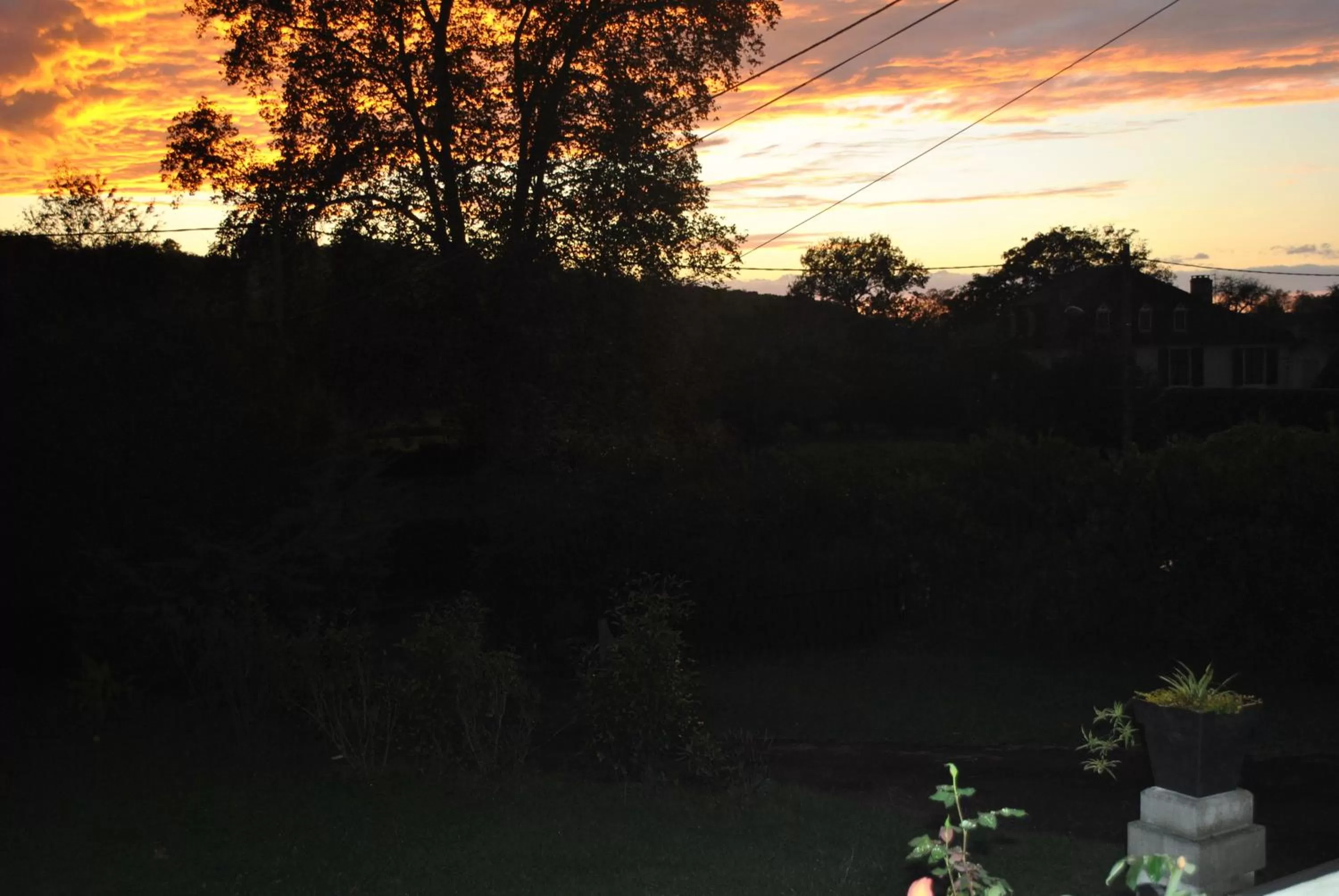 Area and facilities in Villa Hortebise