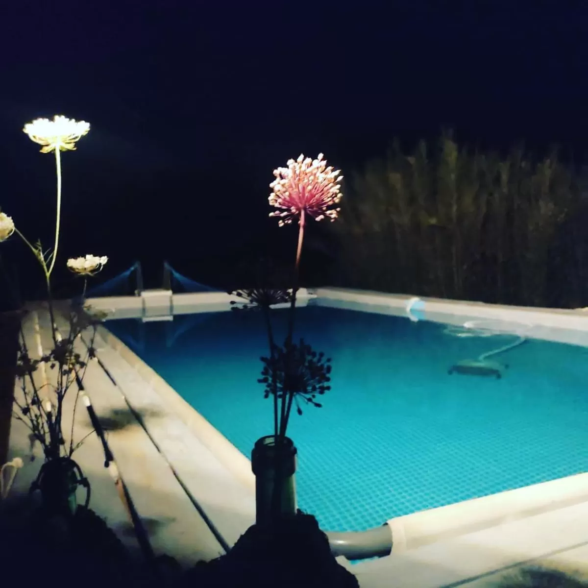 Swimming Pool in B&B Giovannarolla Green House