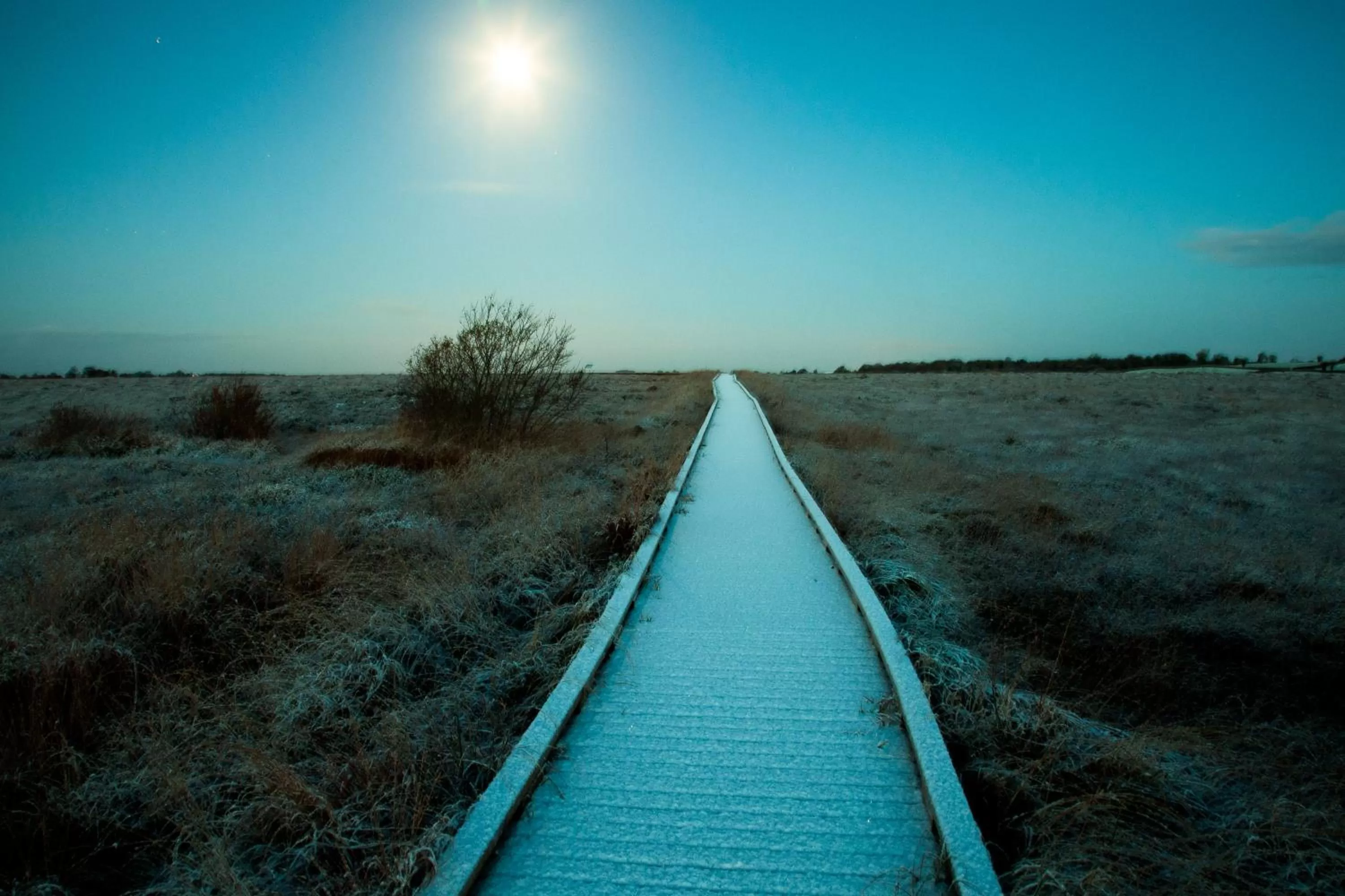 Natural landscape in Tullamore Court Hotel