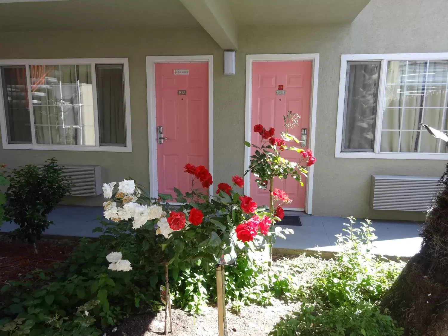 Property building in The Flamingo Motel San Jose