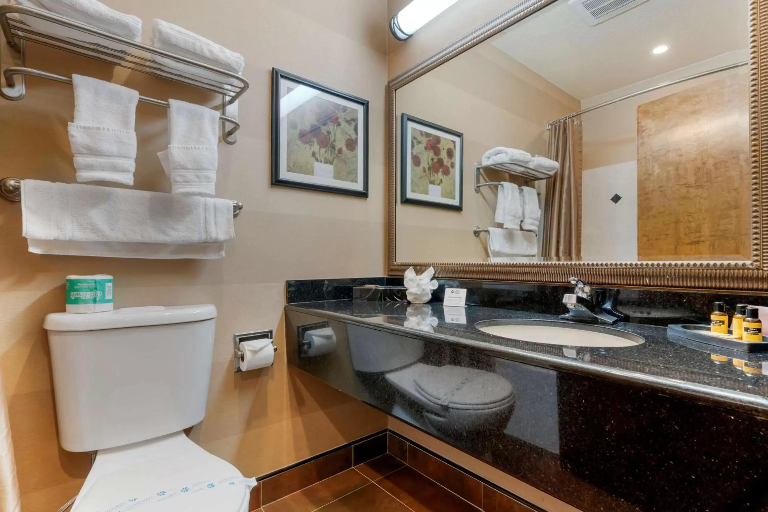 Bathroom in Best Western Plus Brookside Inn