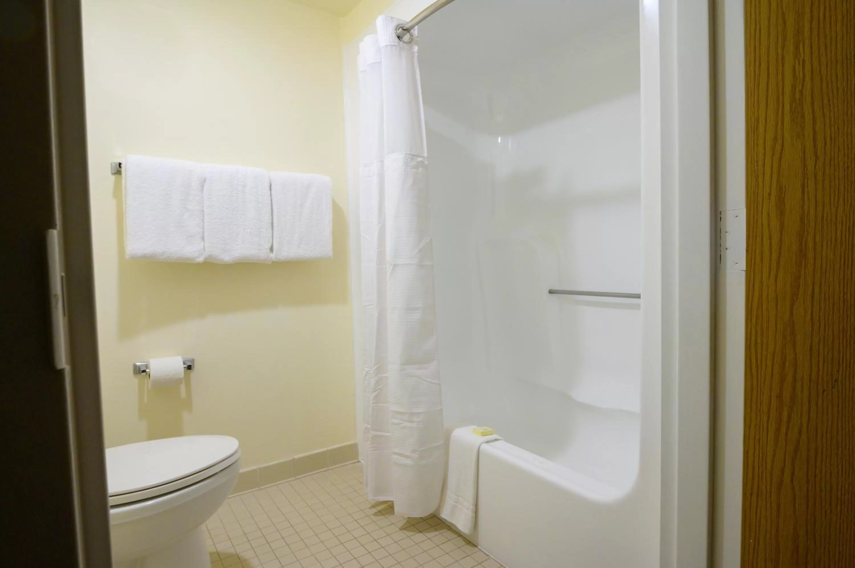 Shower in Airtel Plaza Hotel