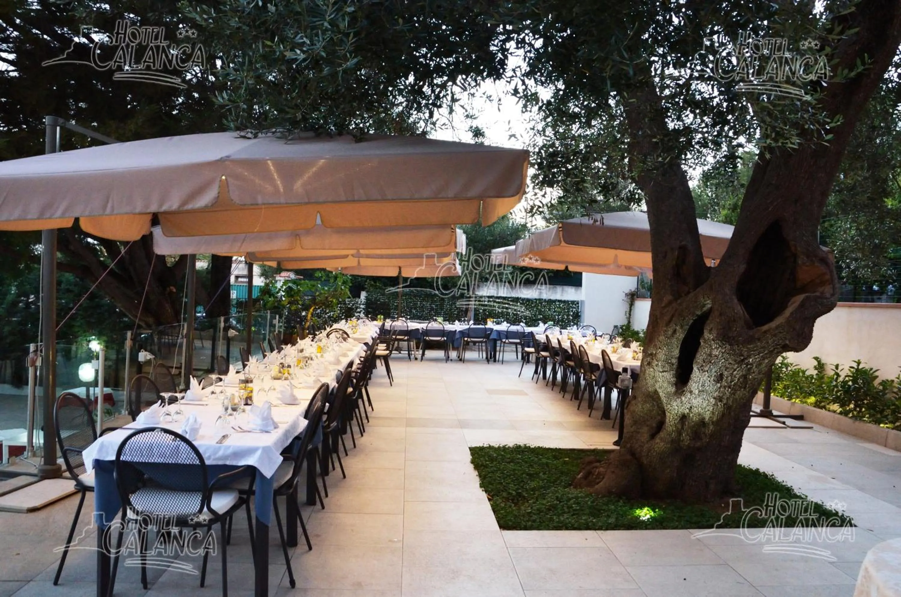 Restaurant/places to eat in Hotel Calanca