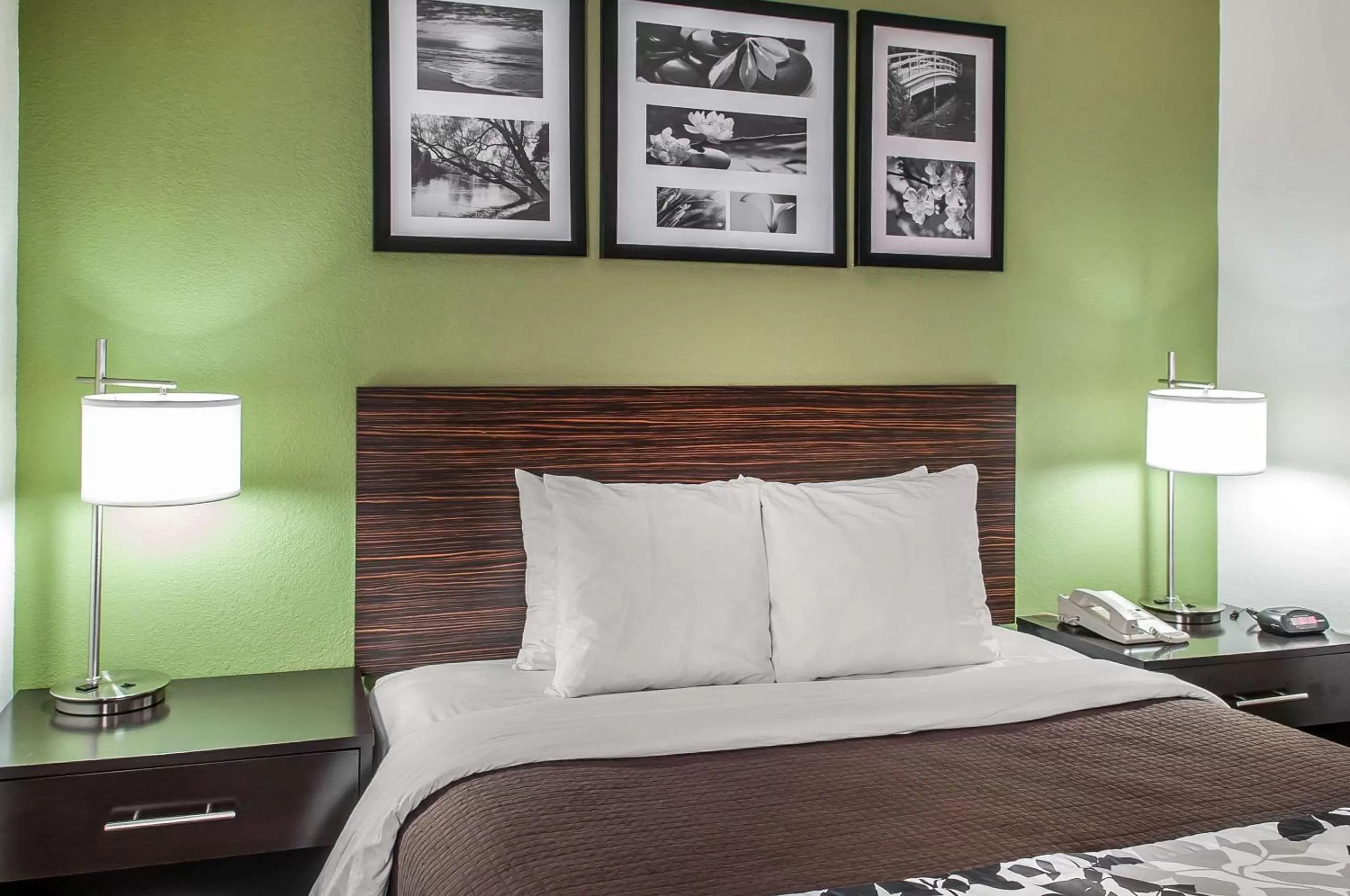 Queen Room - Disability Access - Non-Smoking in Rodeway Inn Airport