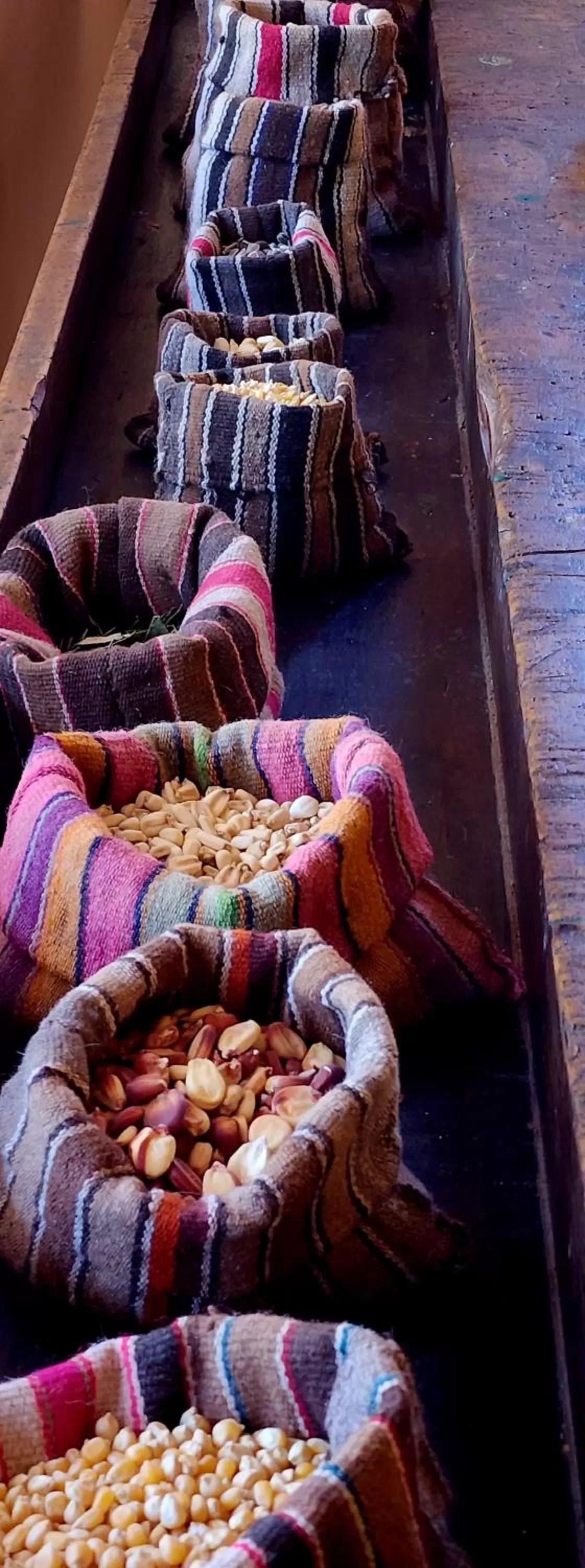 Property building in Hotel Tulor