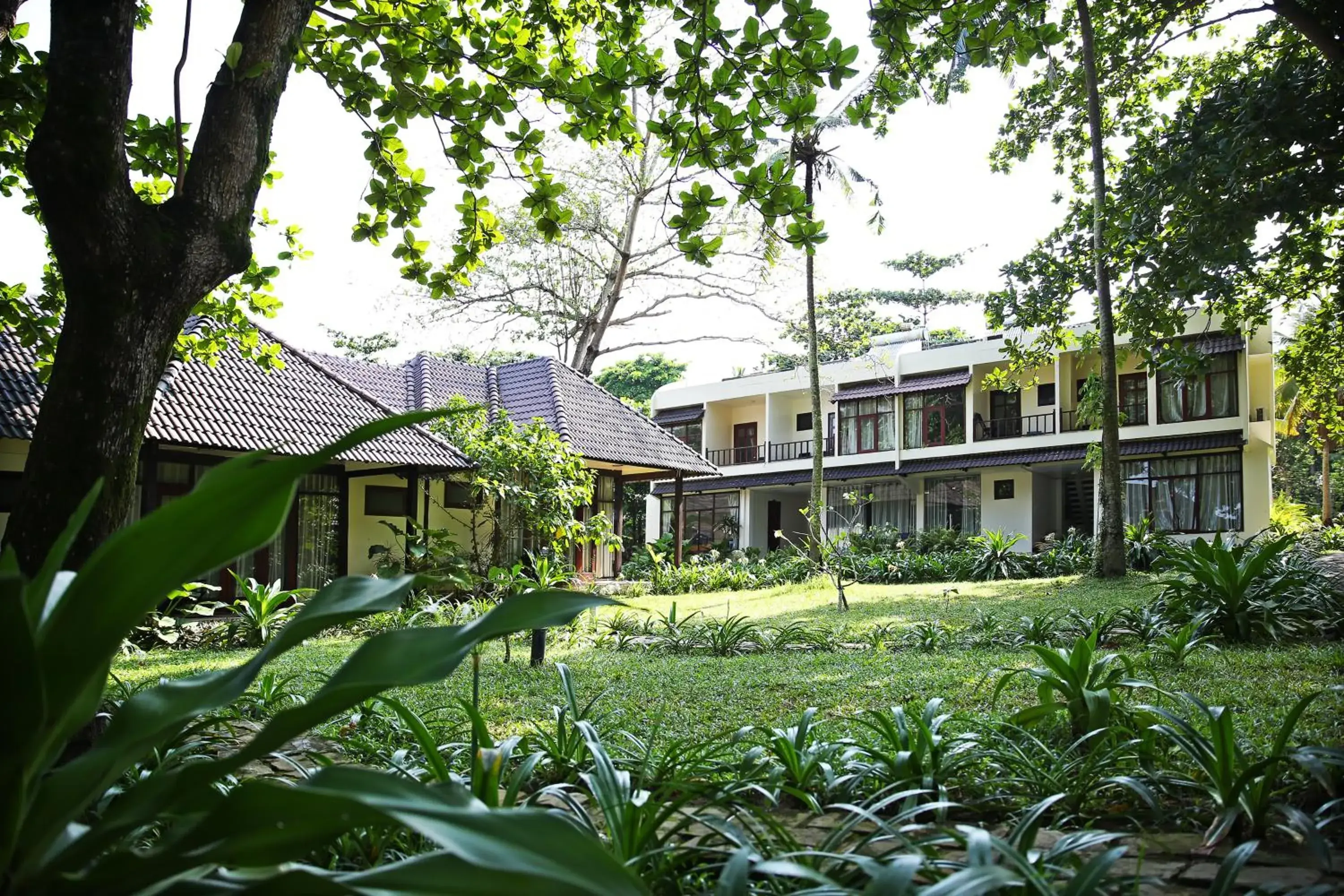 Garden, Property Building in Arcadia Phu Quoc Resort