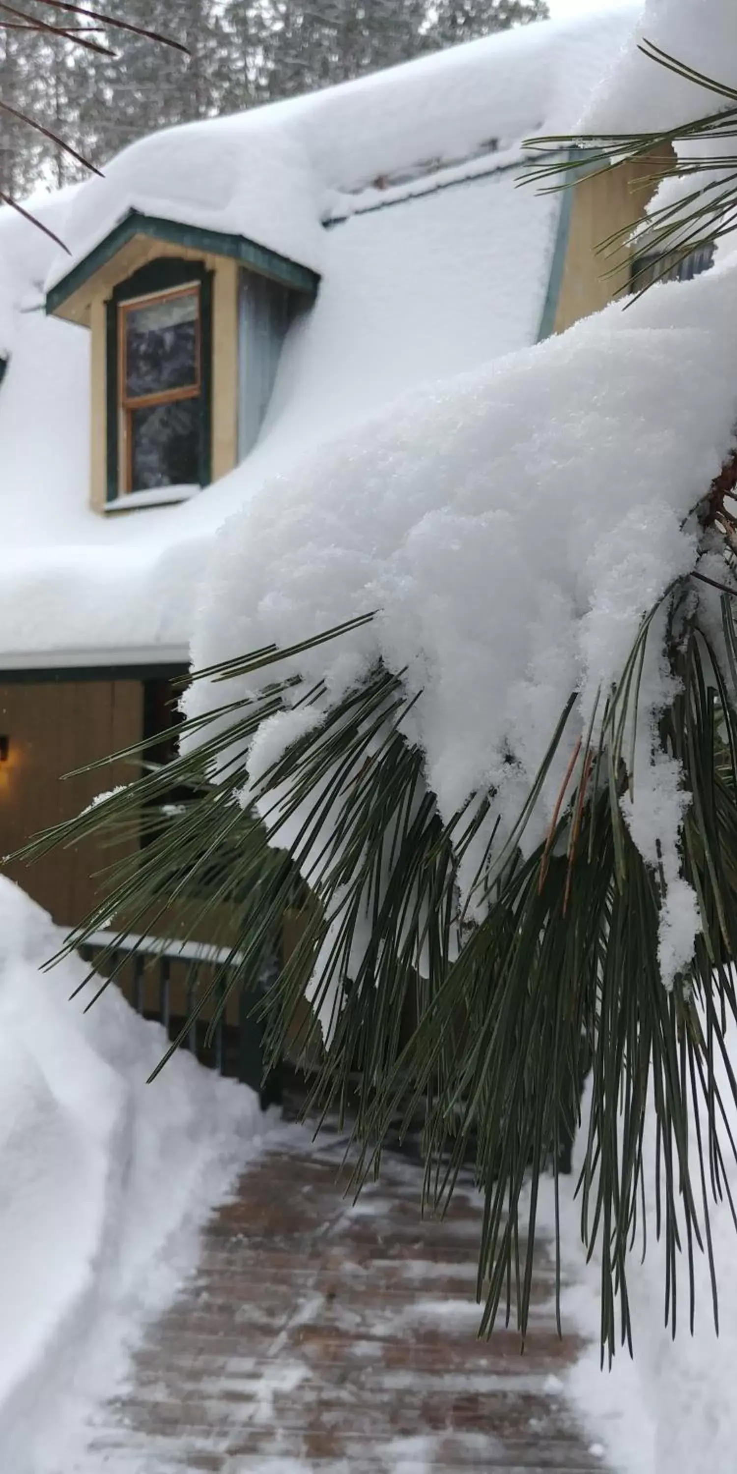 Facade/entrance, Winter in Auberge le Cosy