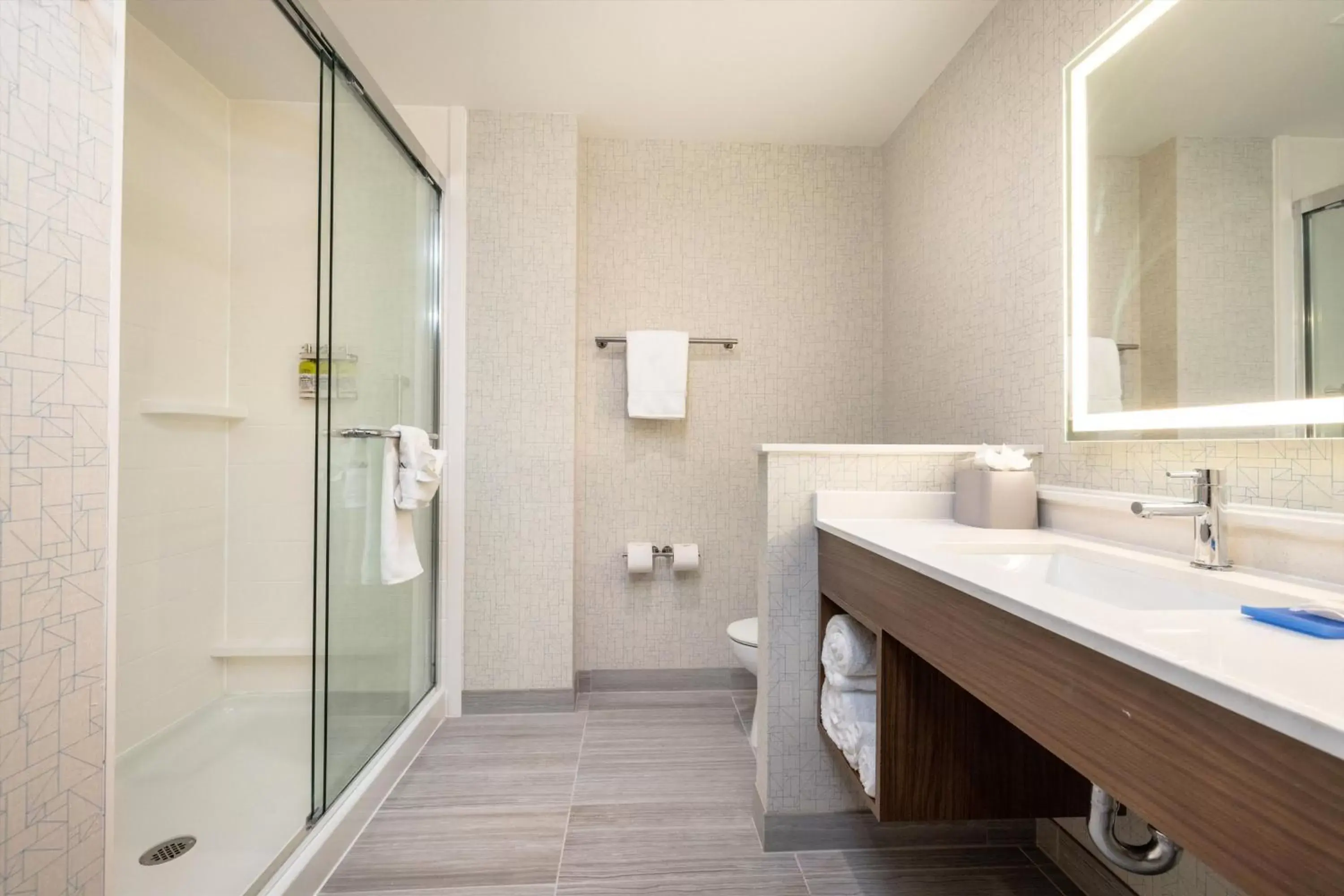 Bathroom in Holiday Inn Express & Suites - San Jose Silicon Valley, an IHG Hotel