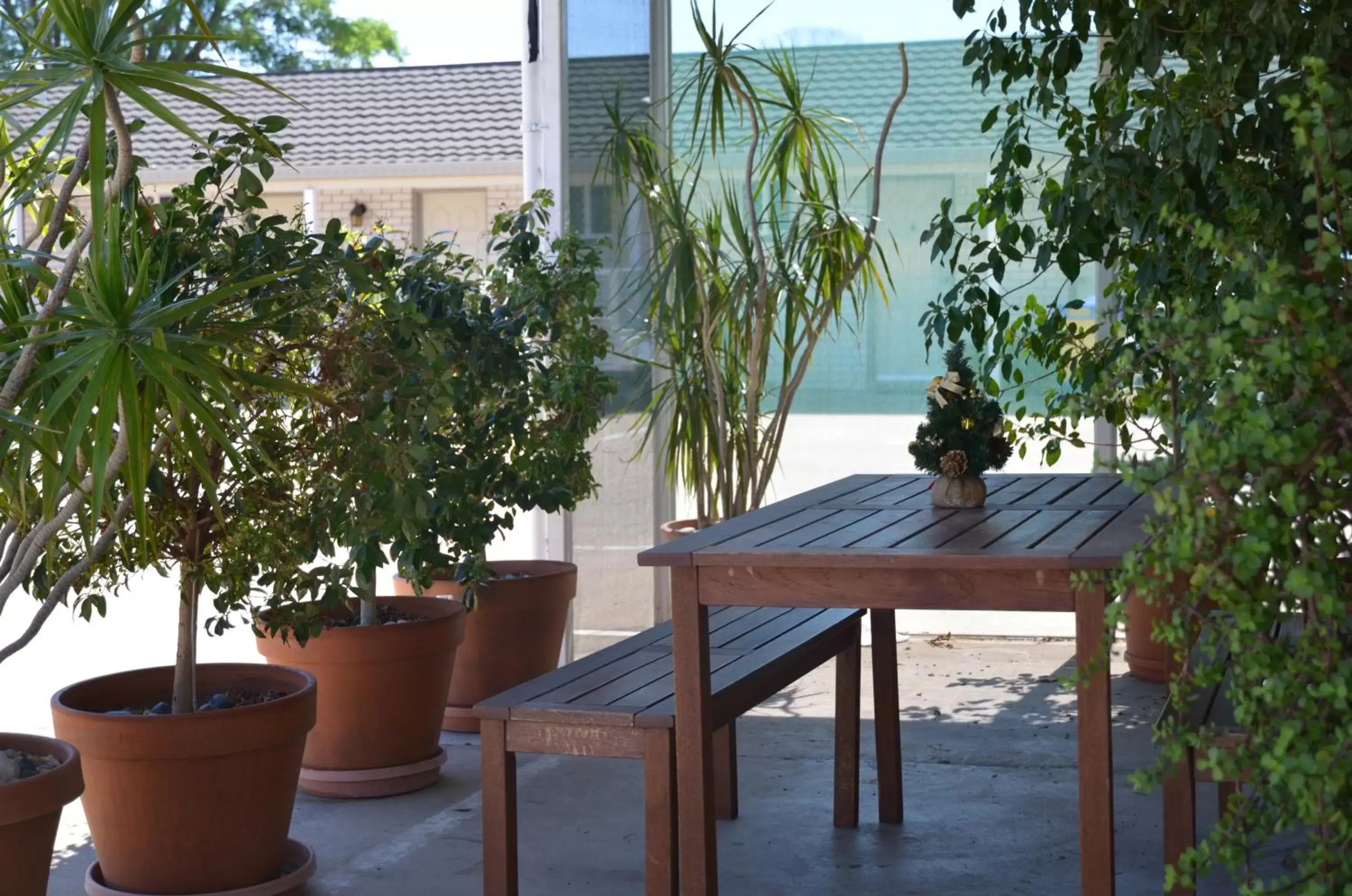 Balcony/Terrace in Alexander Motor Inn