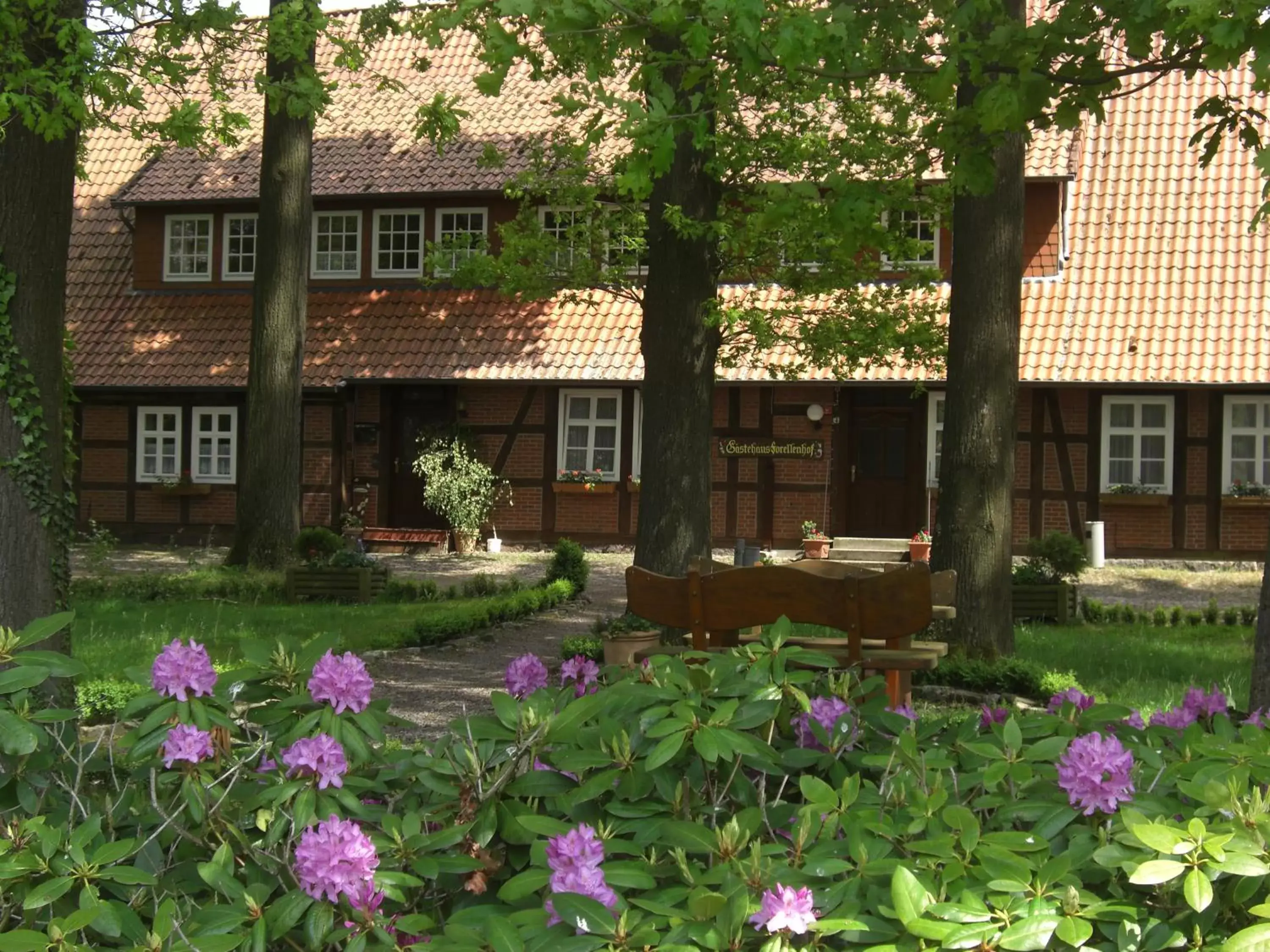 Area and facilities, Property Building in Ringhotel Forellenhof