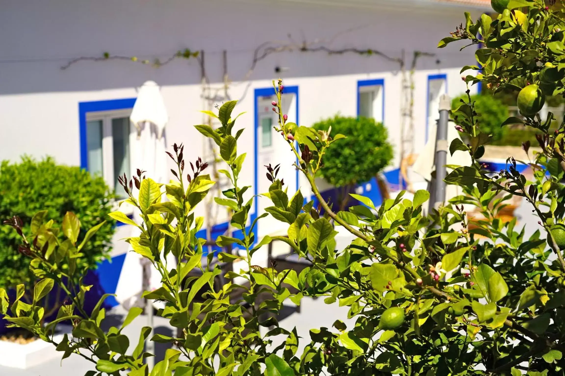 Property building in Carvoeiro B&B and SPA