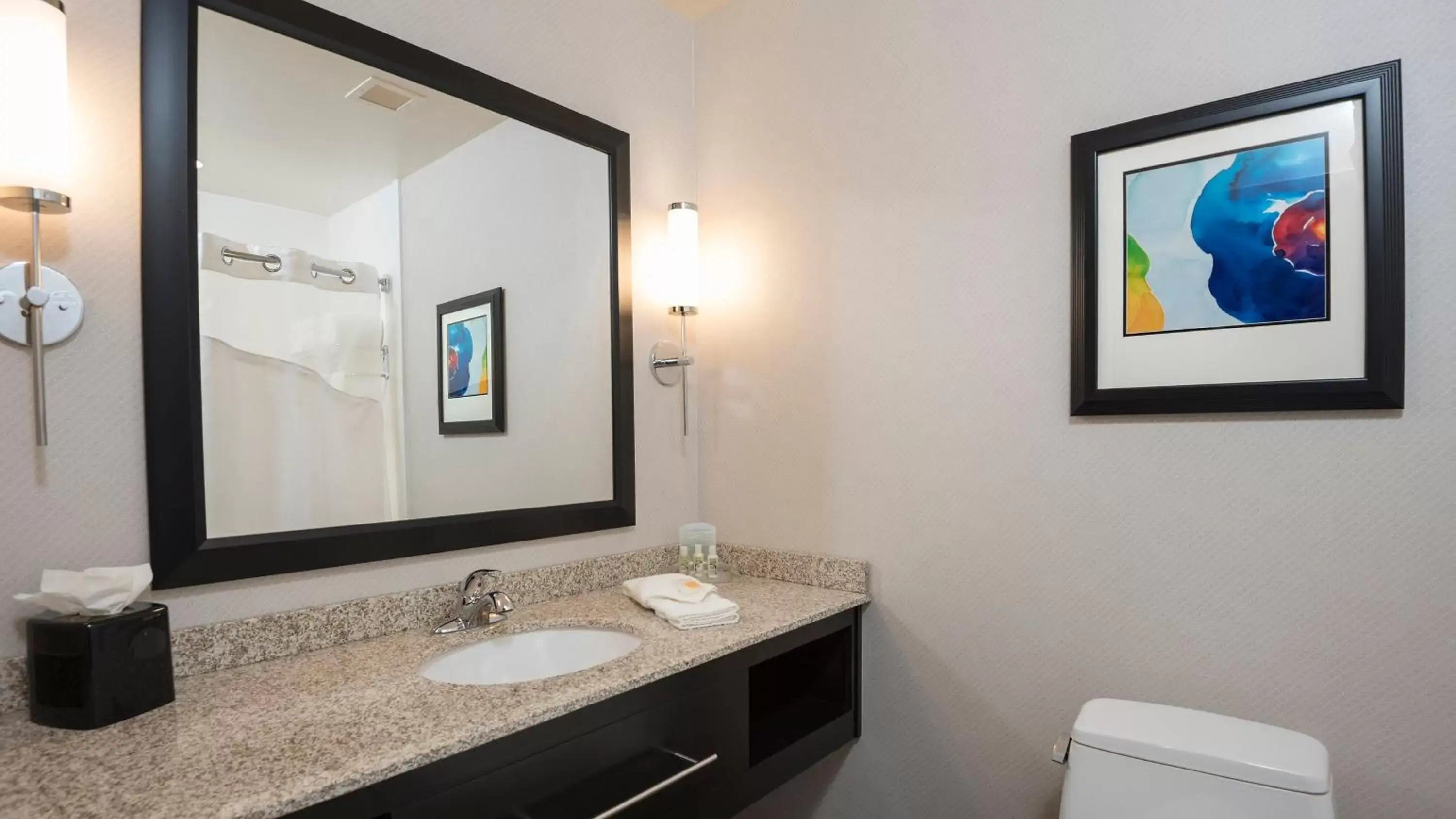 Photo of the whole room, Bathroom in Holiday Inn Indianapolis Airport, an IHG Hotel