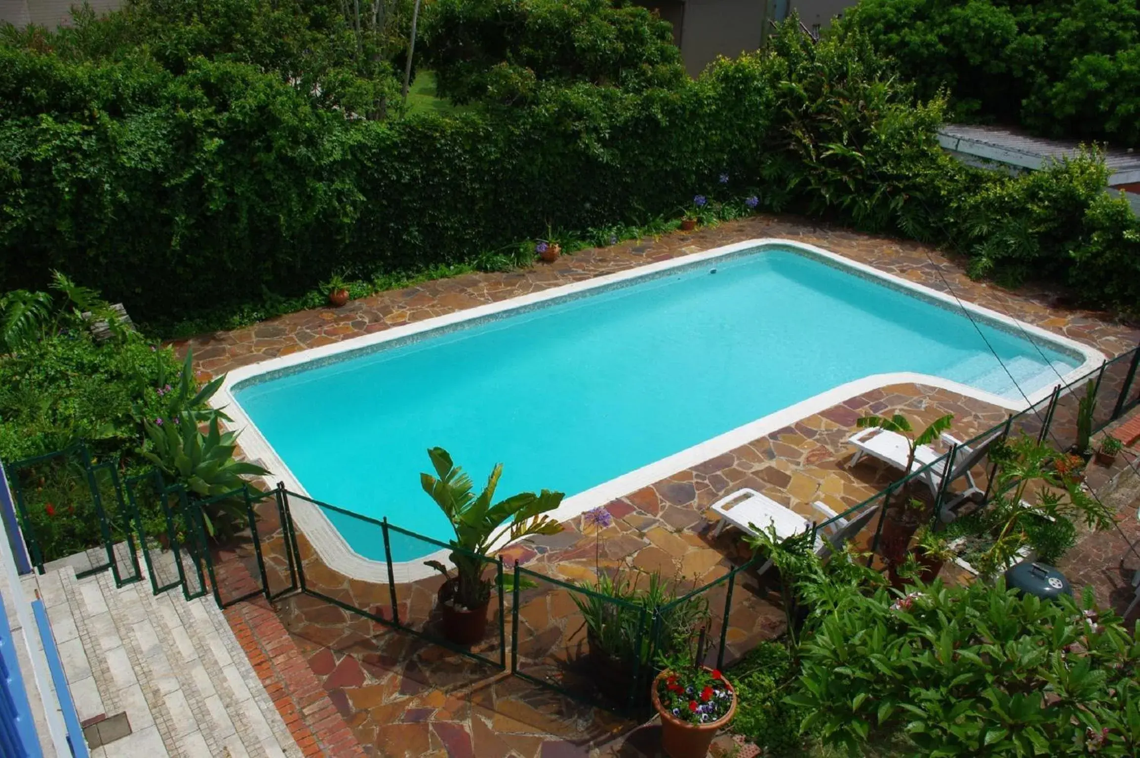 Swimming pool, Pool View in Aqua Marine Guest House