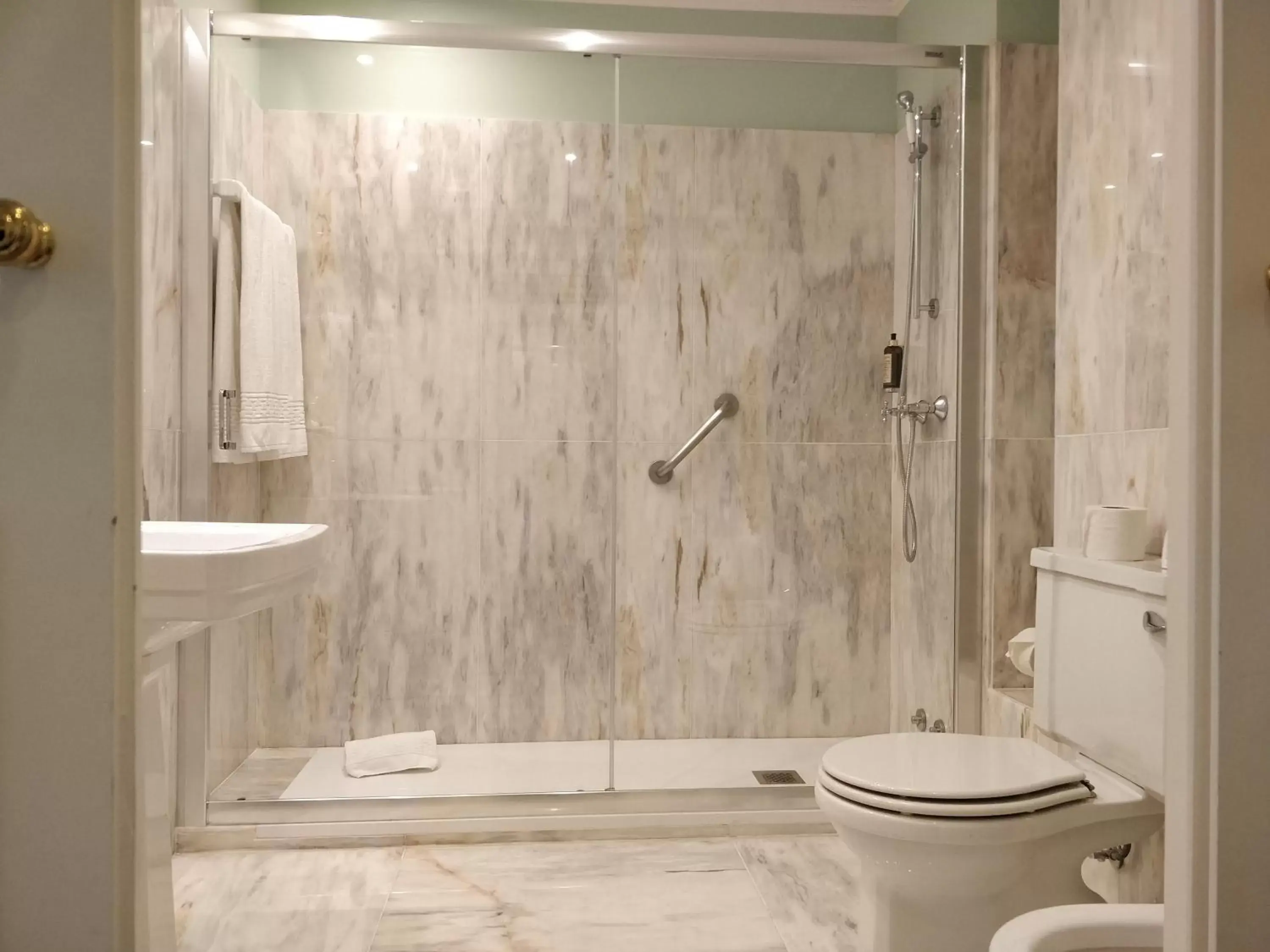 Shower, Bathroom in Grande Hotel do Porto