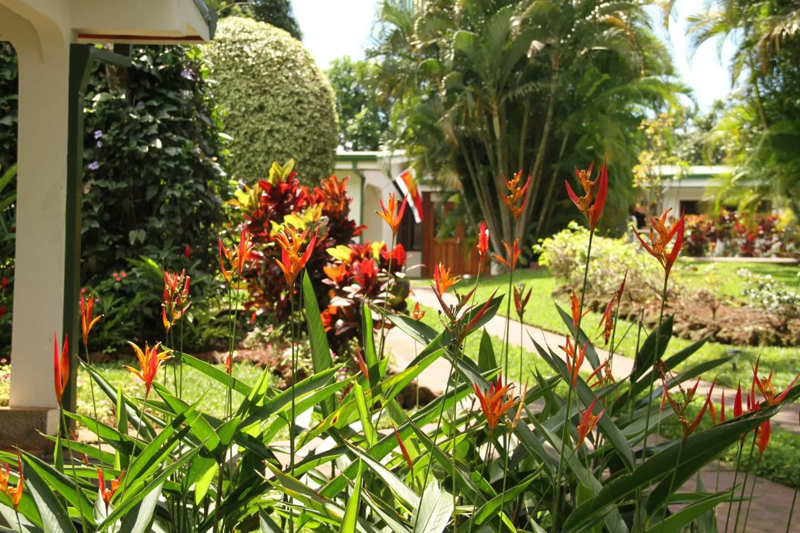 Garden in Hotel La Rosa de America