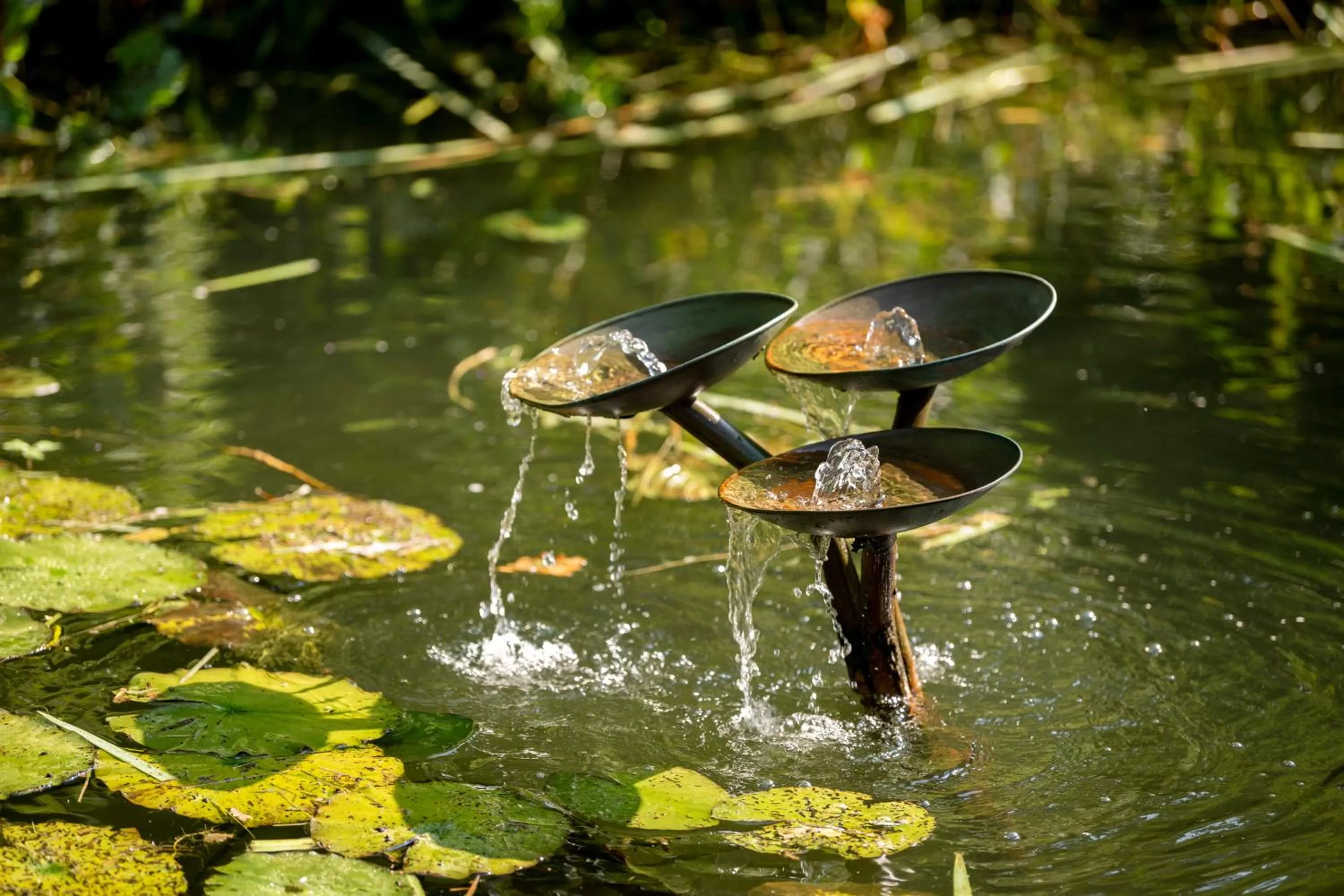 Garden in Köhlers Forsthaus Wellness & Genuss Hotel