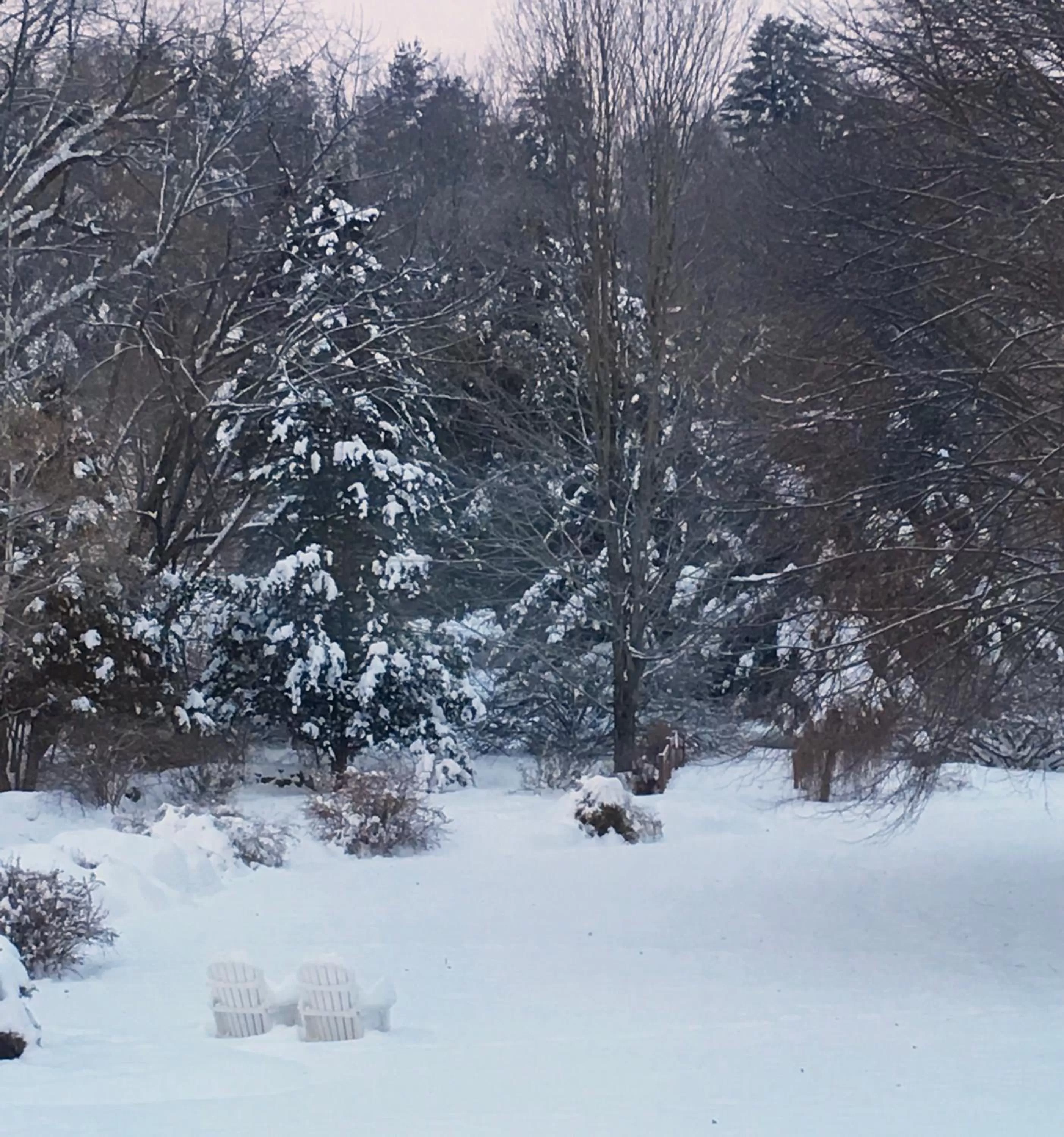 Property building, Winter in Jackson House Inn
