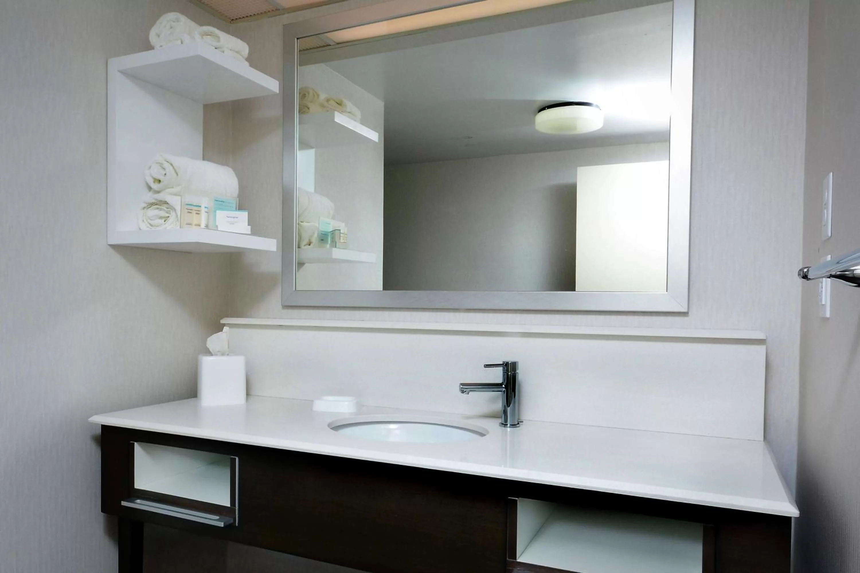 Bathroom in Hampton Inn Martinsville