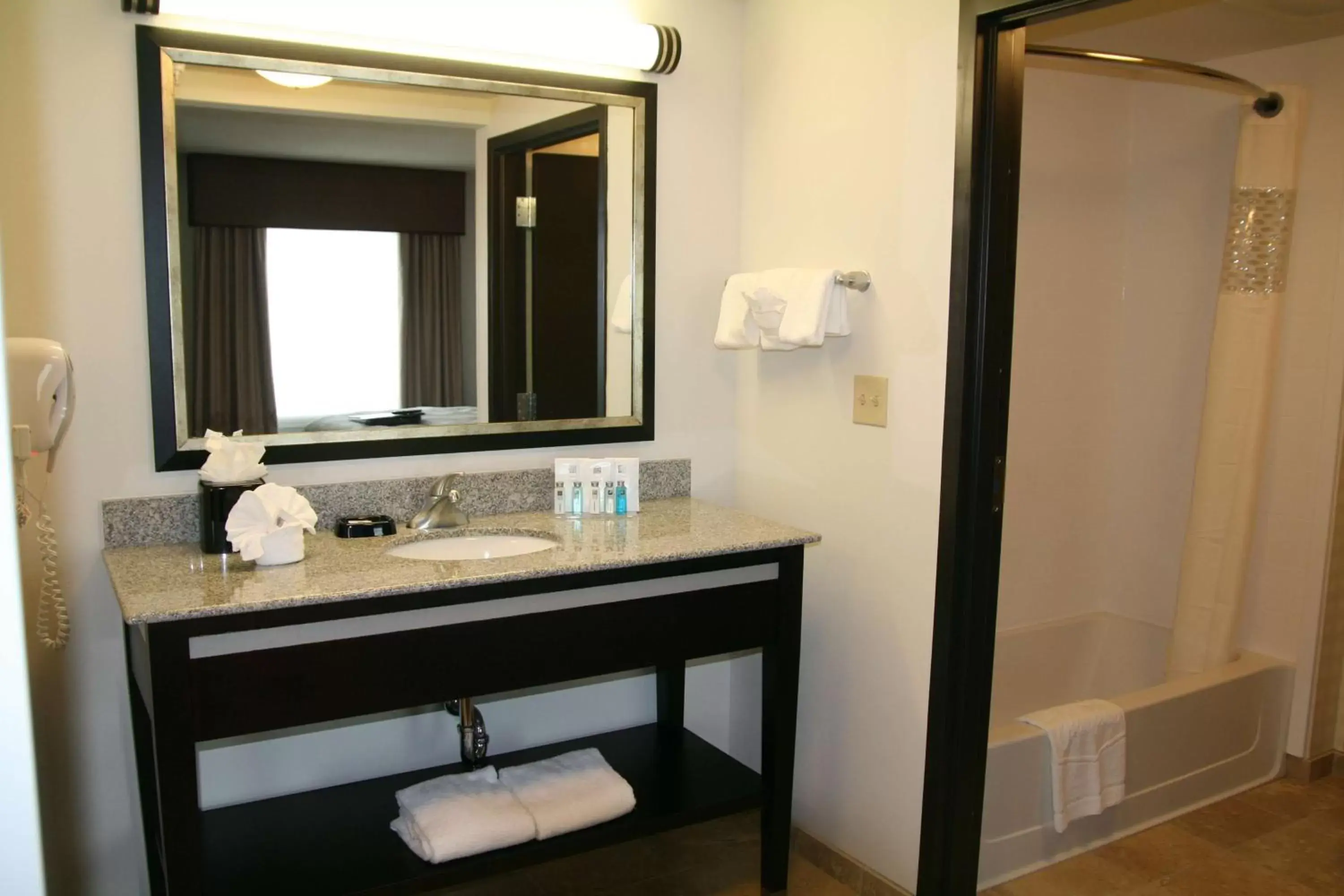 Bathroom in Hampton Inn & Suites Detroit/Airport Romulus