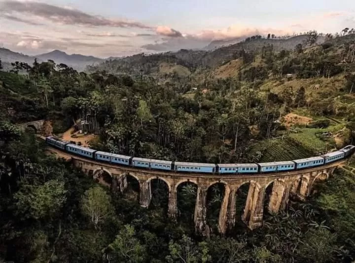 Ella Lucky Panoramic