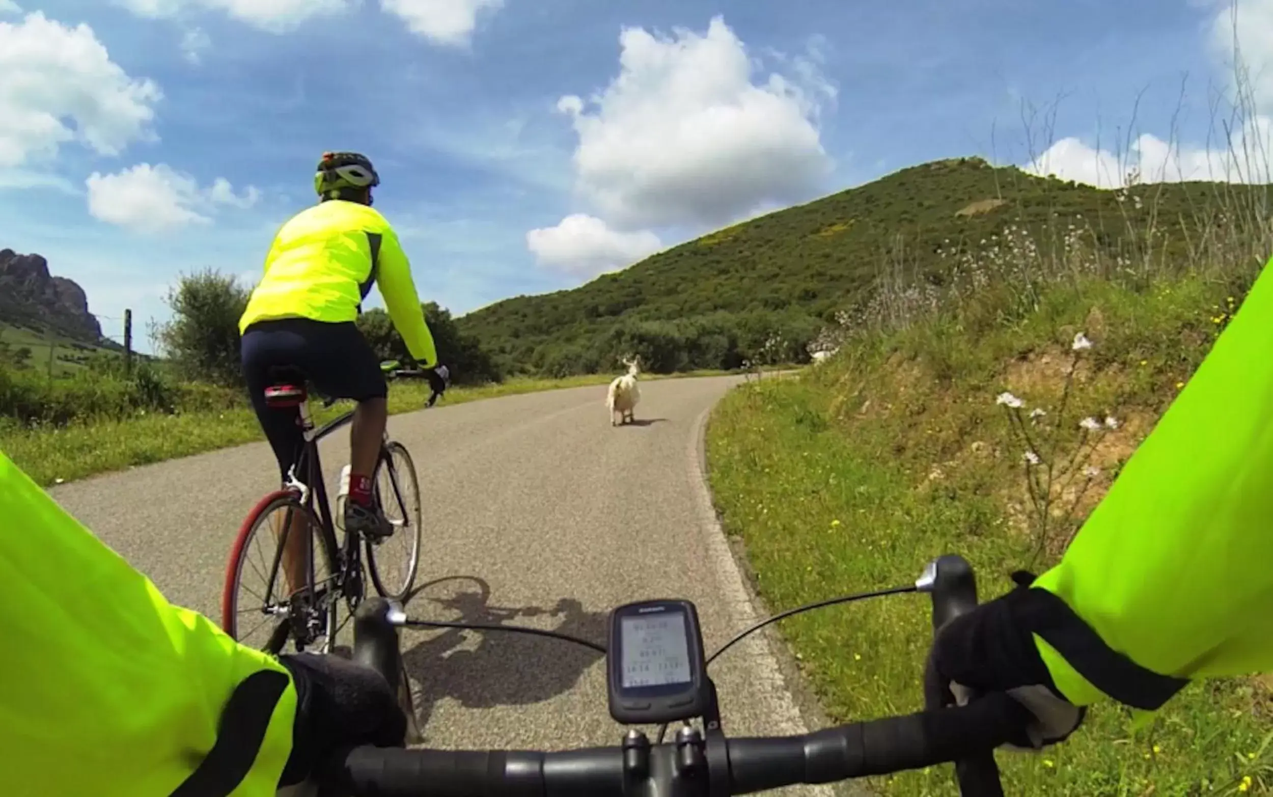 Cycling in Hotel La Tartaruga Bianca