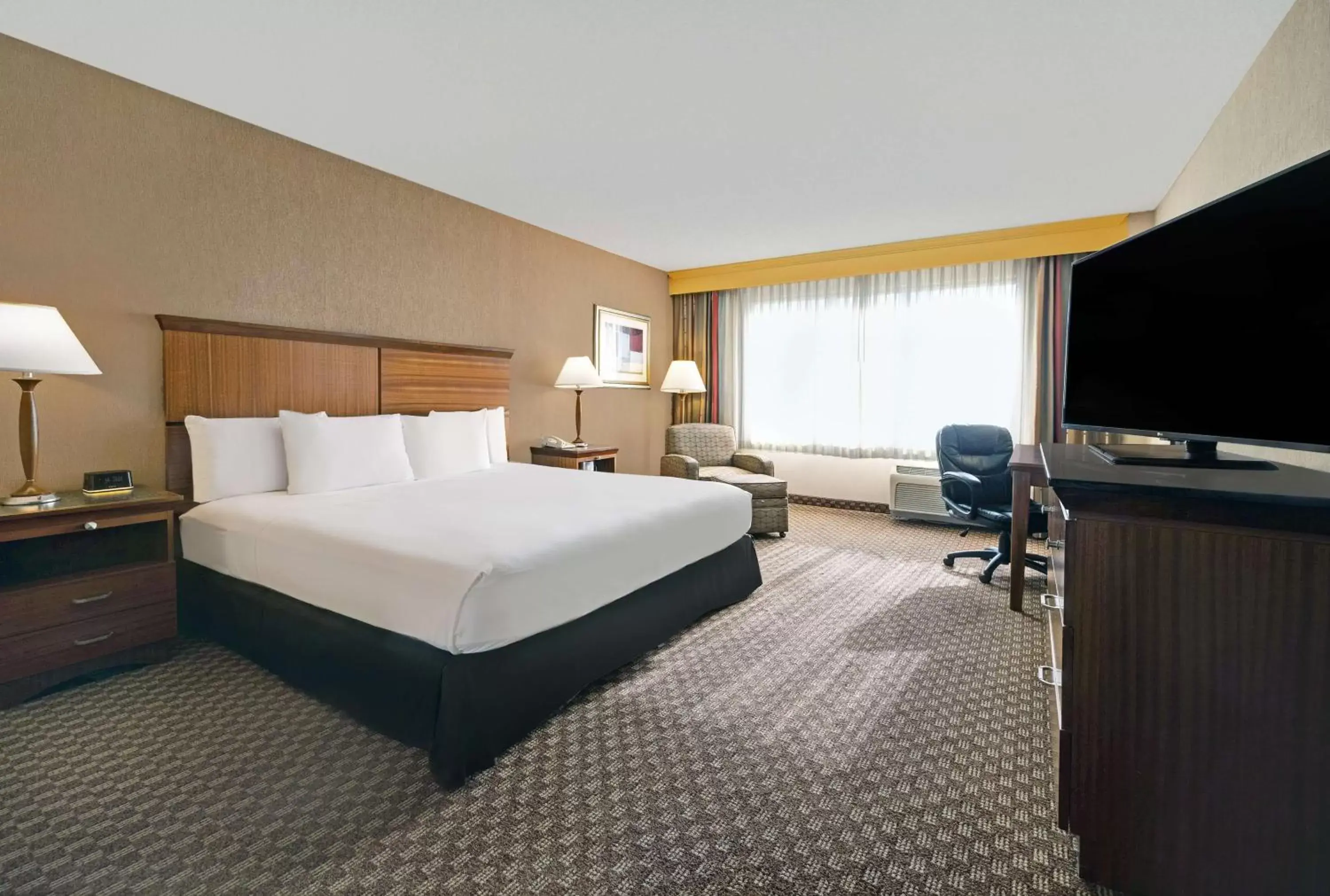 Bed, TV/Entertainment Center in DoubleTree by Hilton Grand Junction