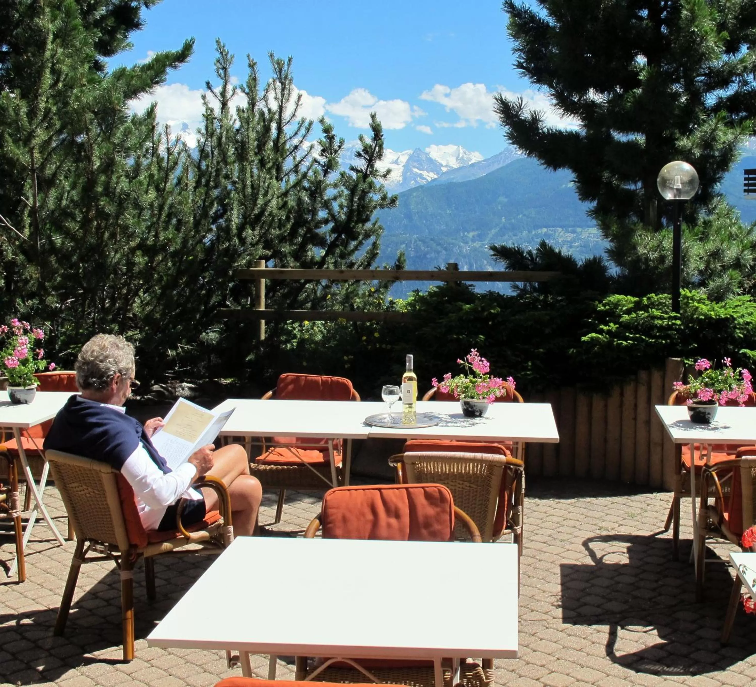 Day in Hôtel de la Forêt