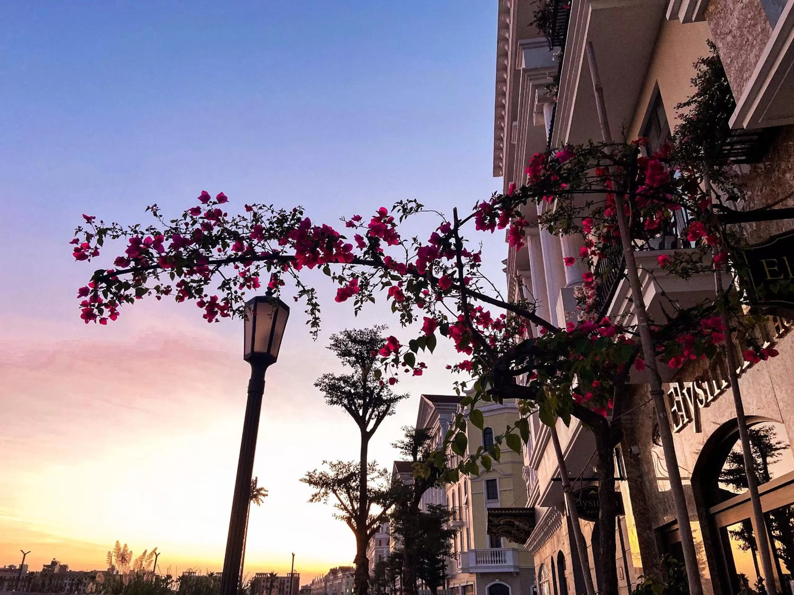 Facade/entrance in Elysinam Boutique Hotel Ha Long