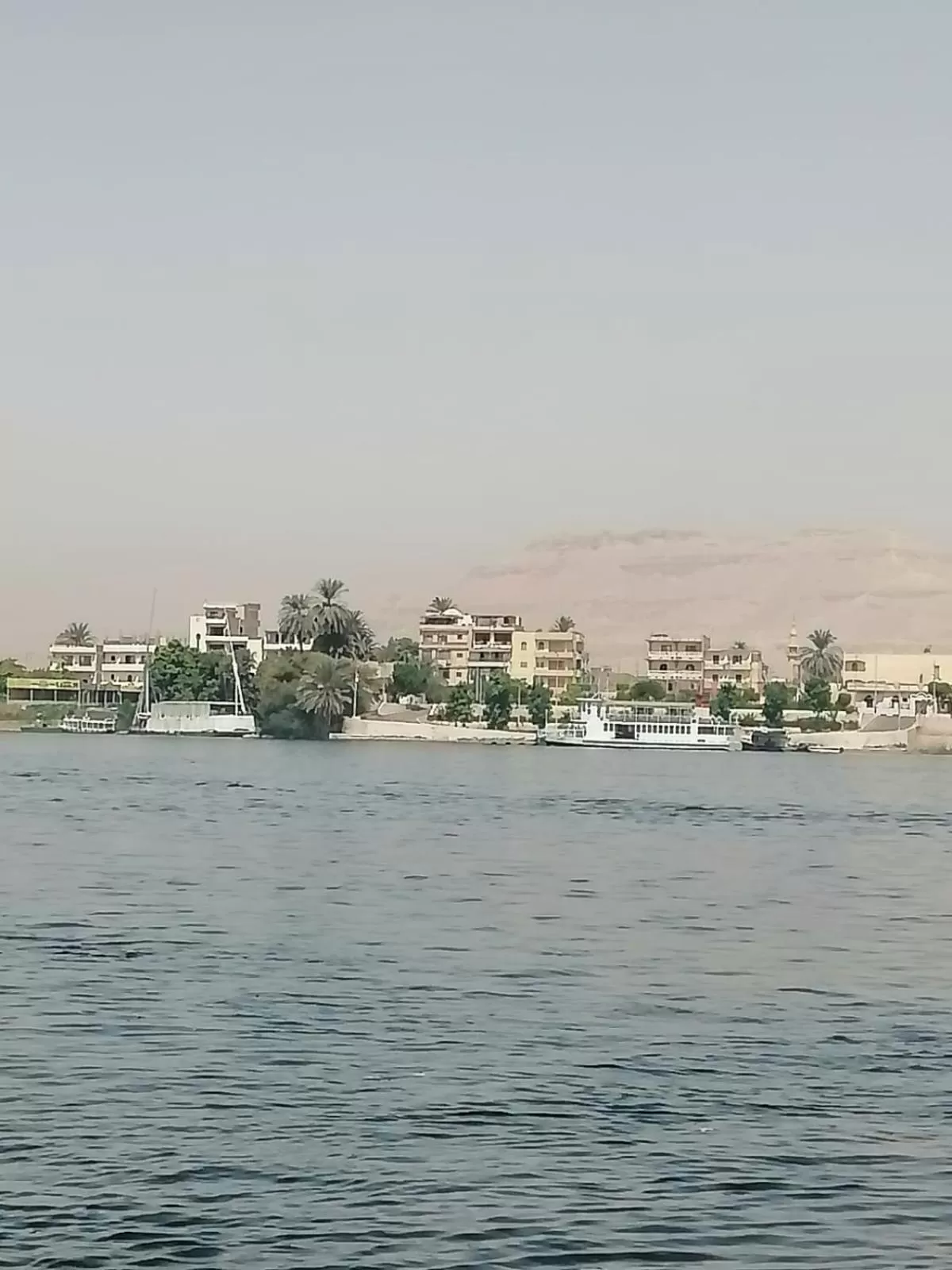 Windsor Hotel Luxor 中國人之家