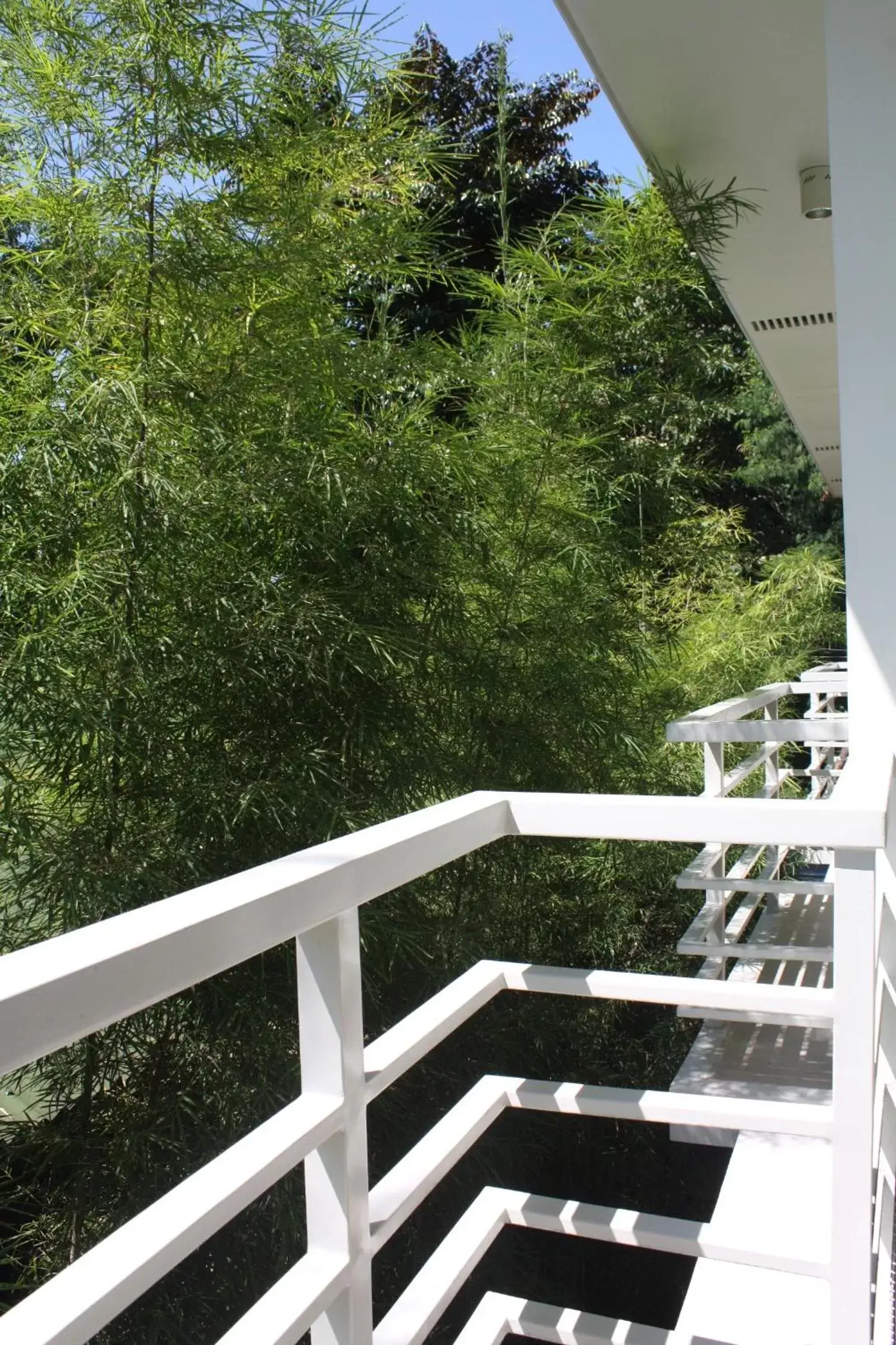 Balcony/Terrace in Greenspace Palawan